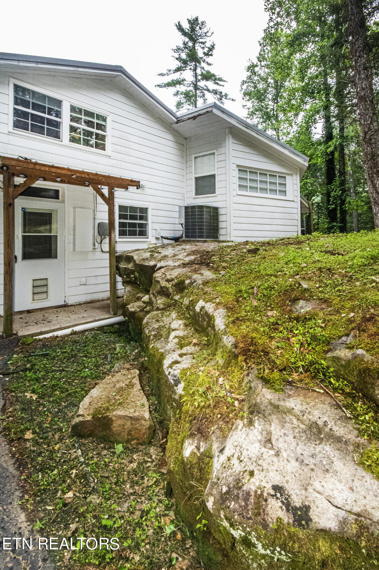 135 White Creek Court Deer Lodge TN 37726