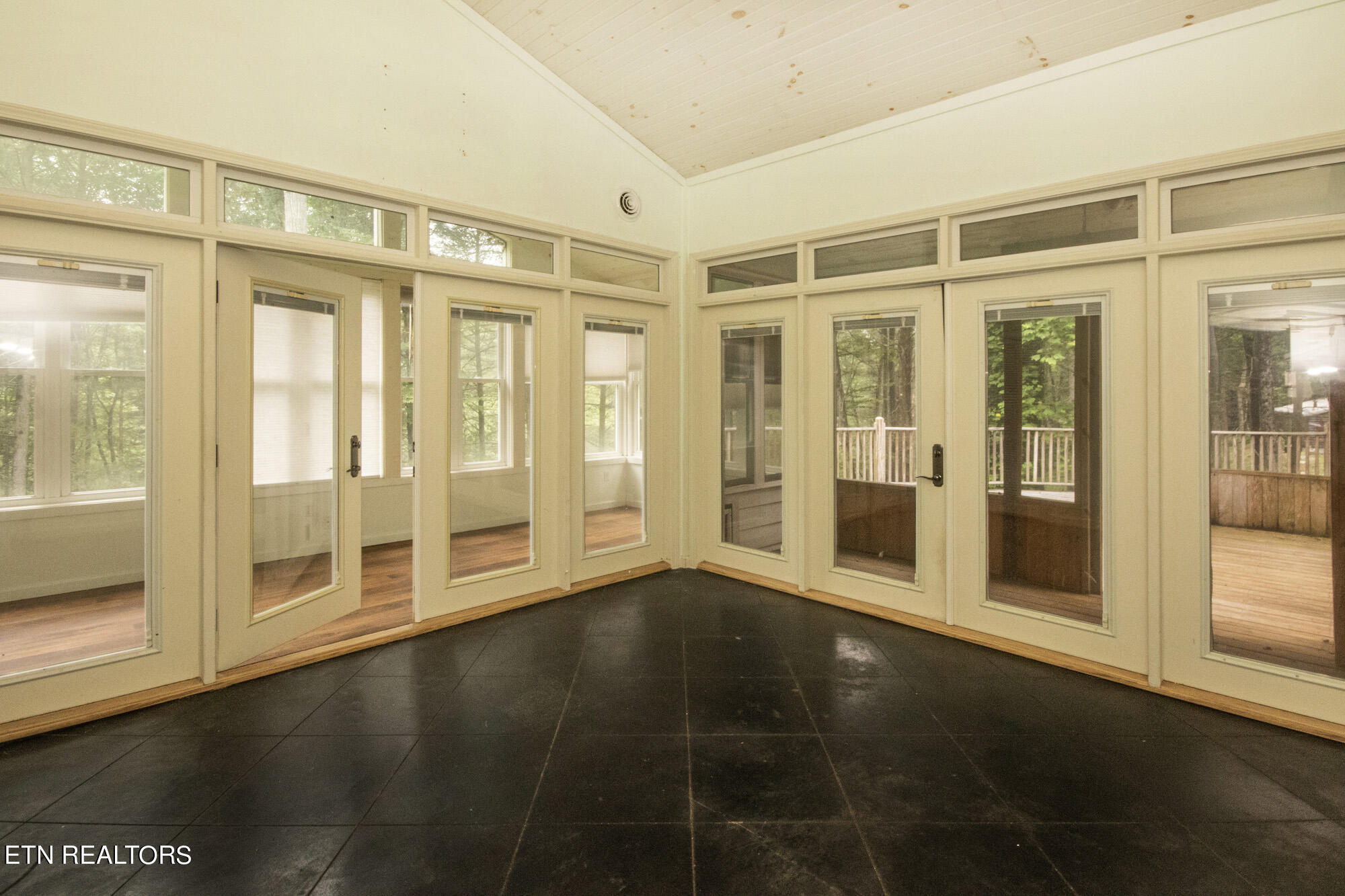 135 White Creek Court Deer Lodge TN 37726