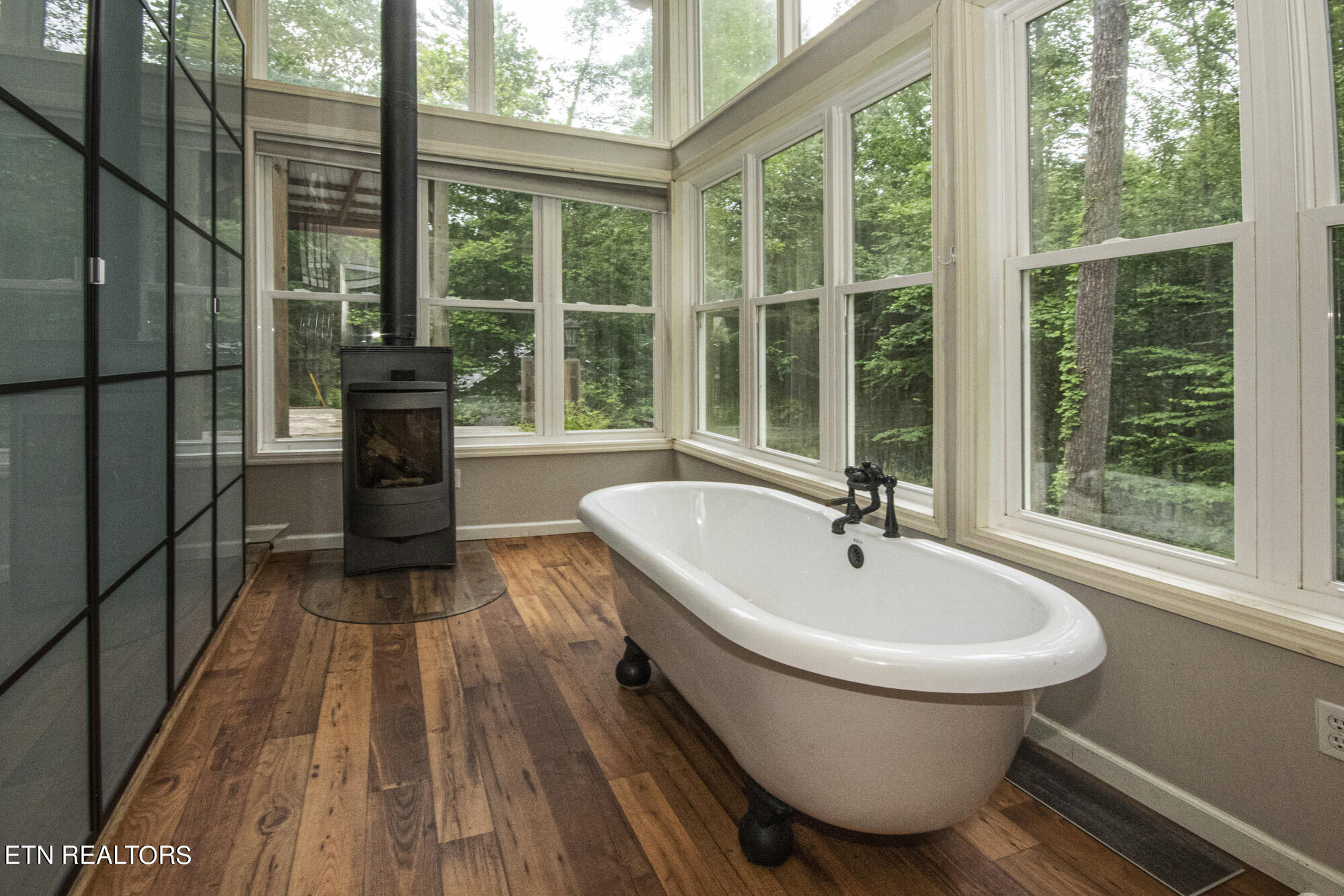 135 White Creek Court Deer Lodge TN 37726