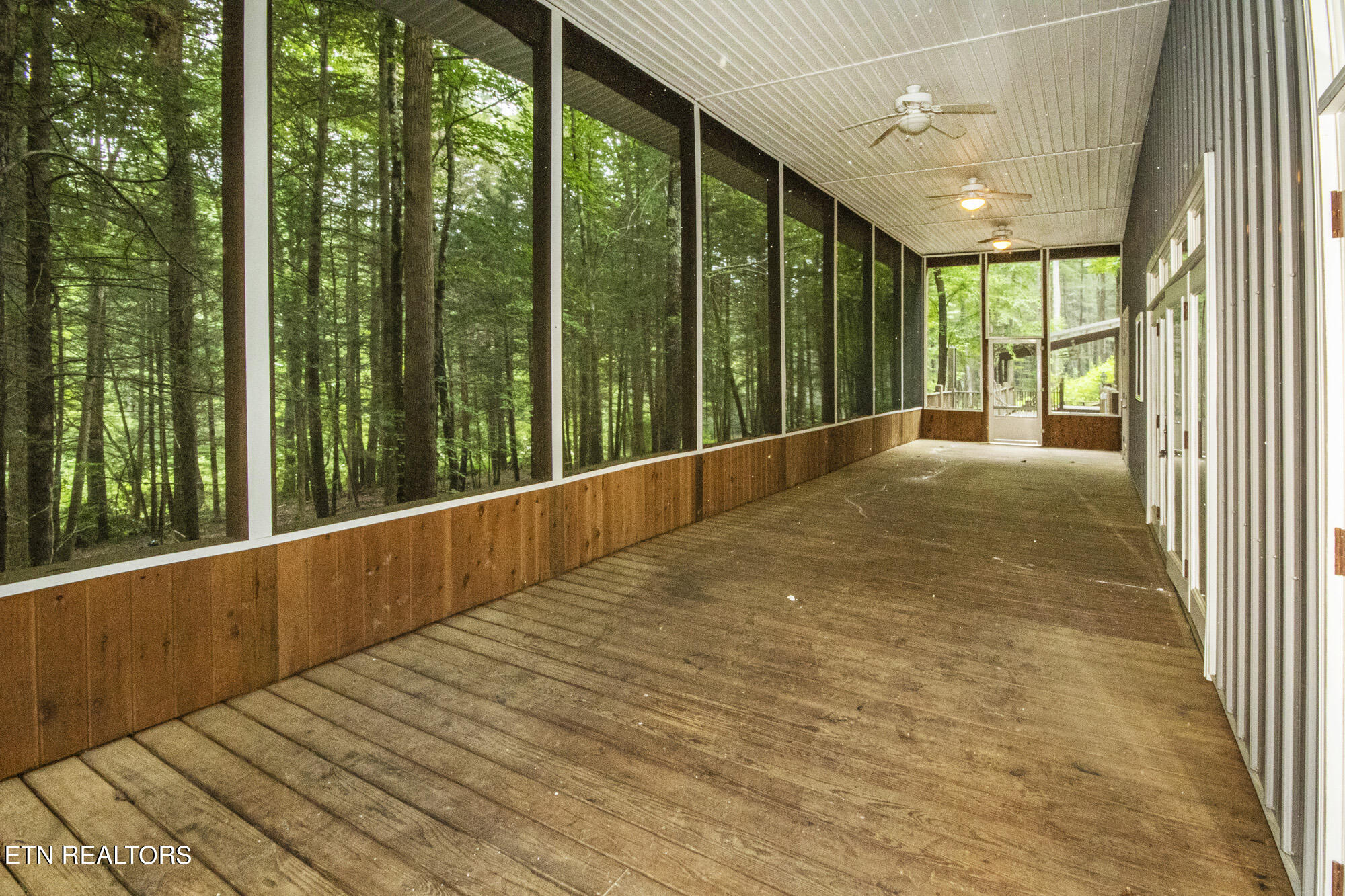 135 White Creek Court Deer Lodge TN 37726