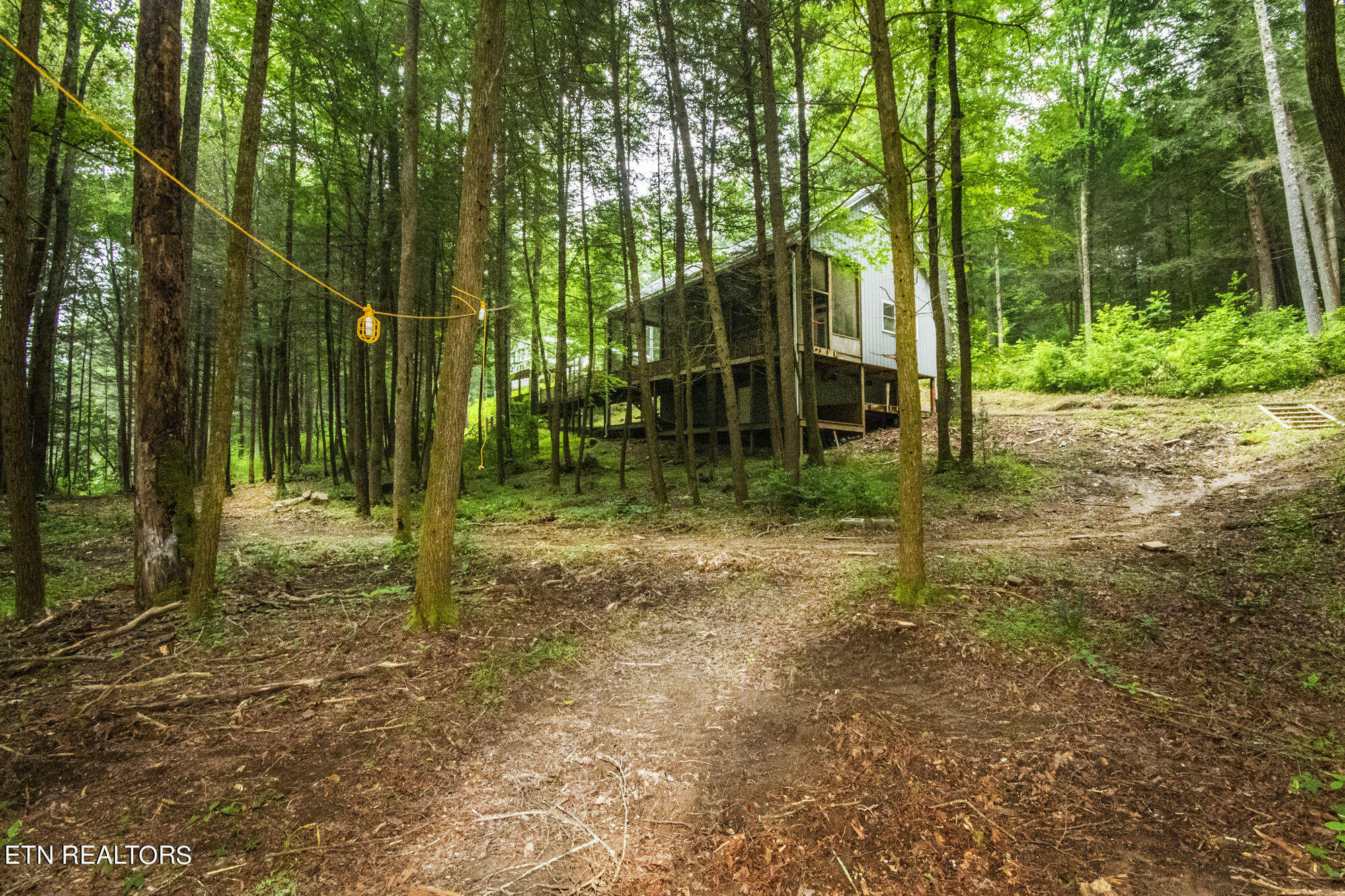 135 White Creek Court Deer Lodge TN 37726