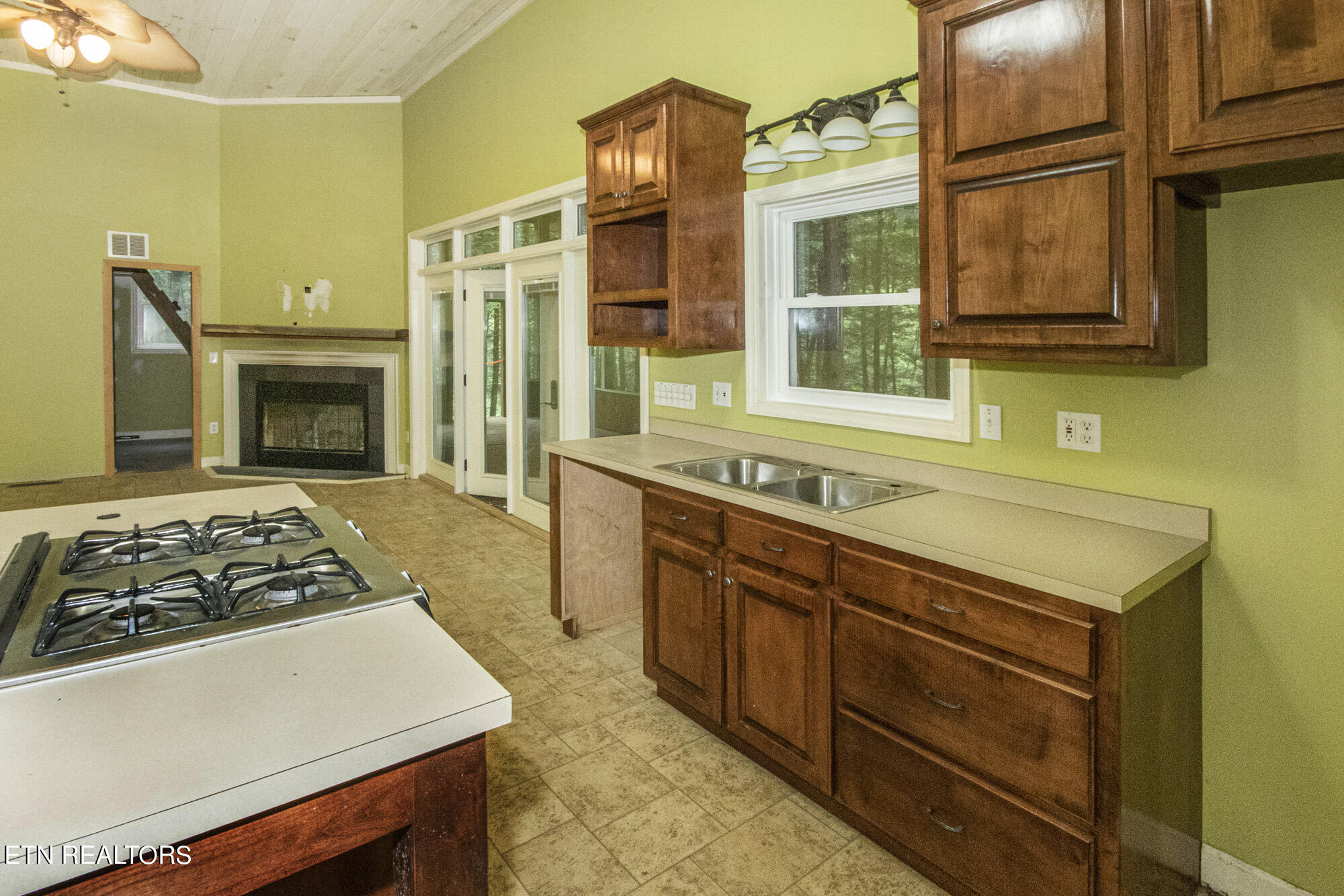 135 White Creek Court Deer Lodge TN 37726