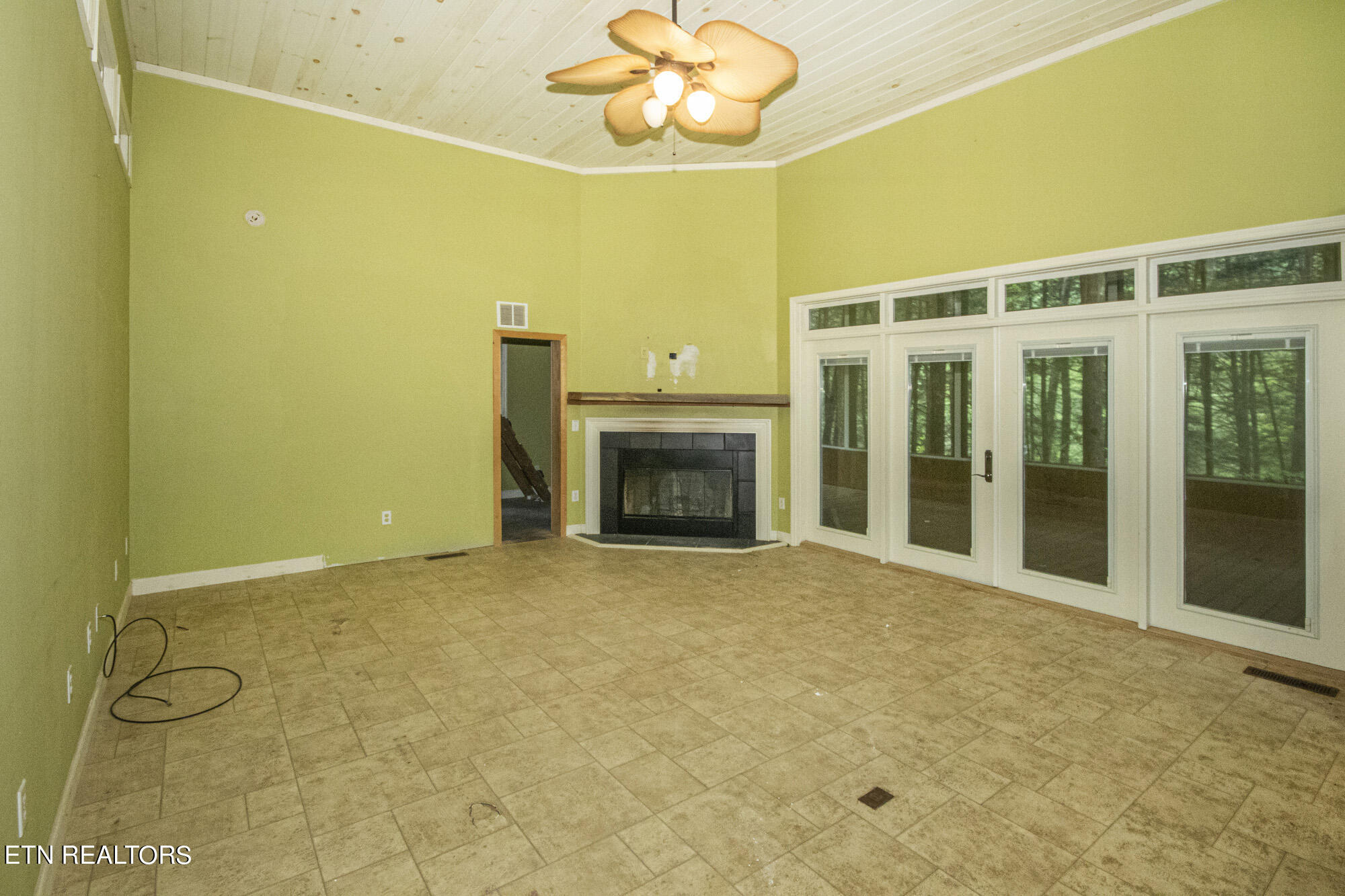 135 White Creek Court Deer Lodge TN 37726