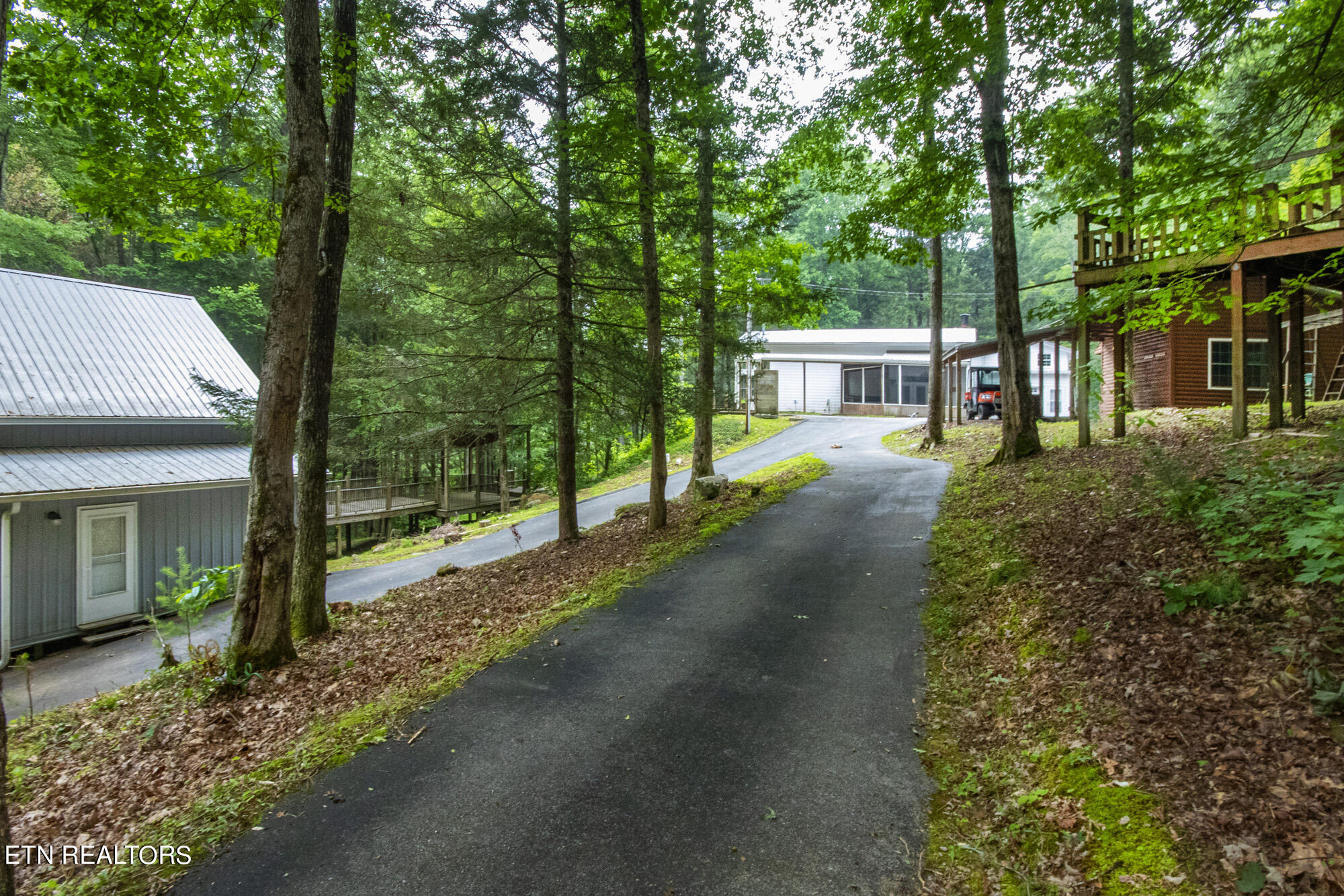 135 White Creek Court Deer Lodge TN 37726