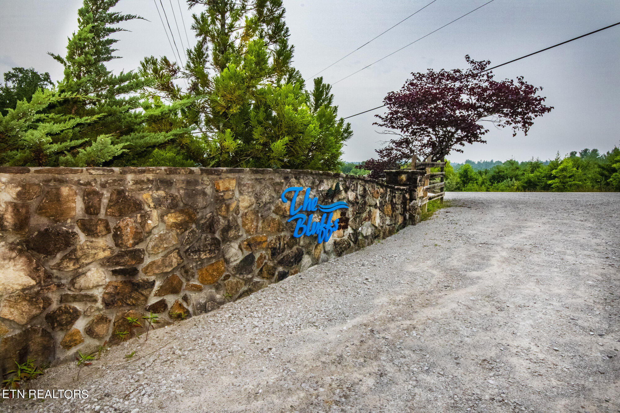 135 White Creek Court Deer Lodge TN 37726