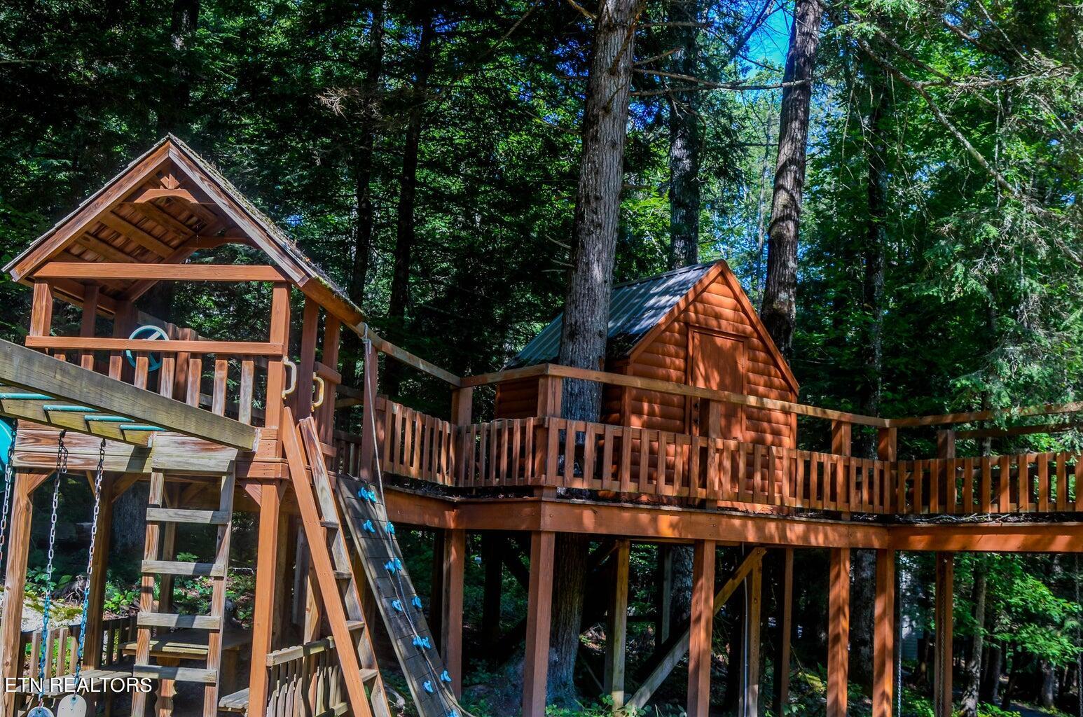 135 White Creek Court Deer Lodge TN 37726