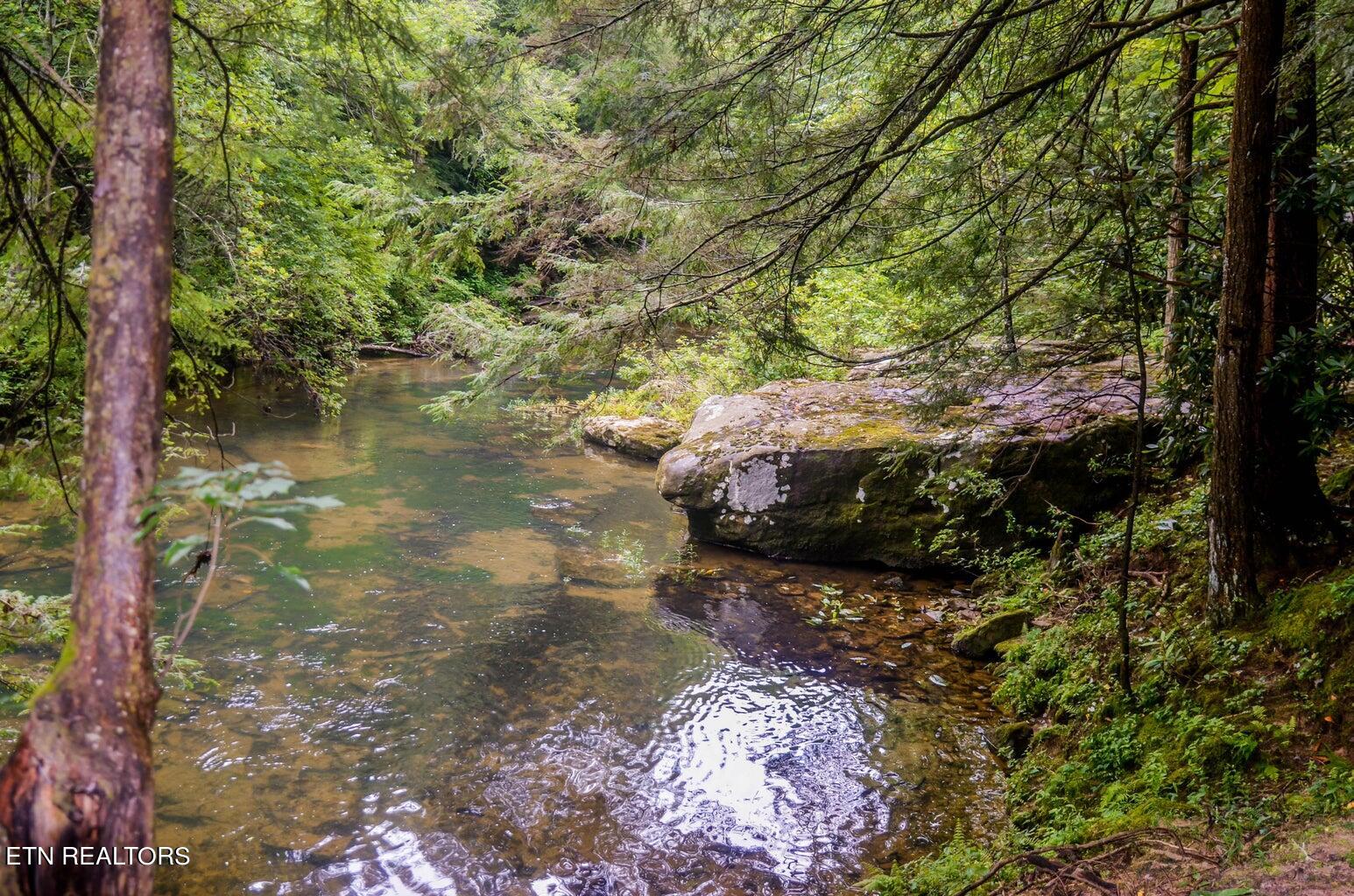 135 White Creek Court Deer Lodge TN 37726