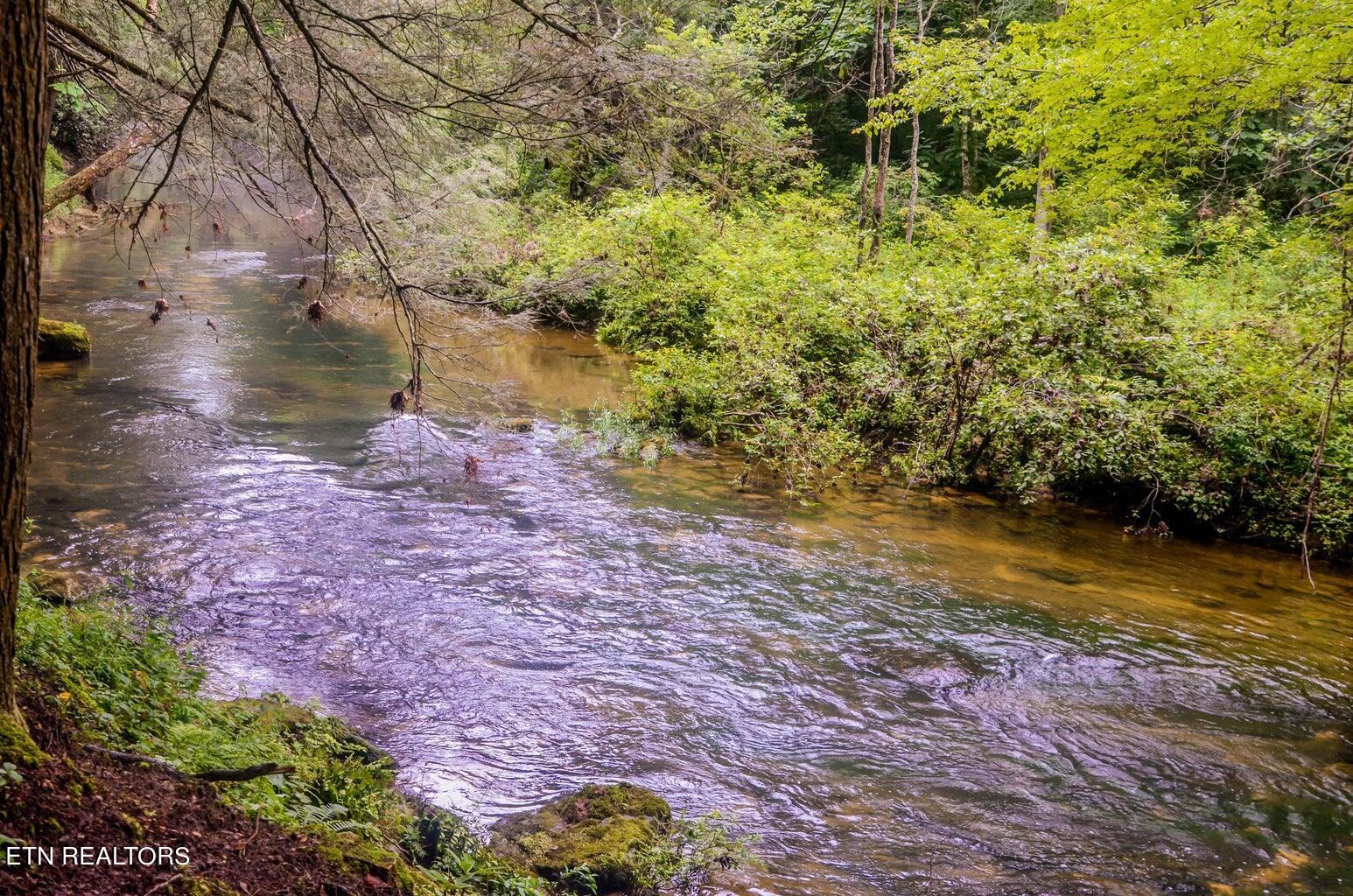 135 White Creek Court Deer Lodge TN 37726