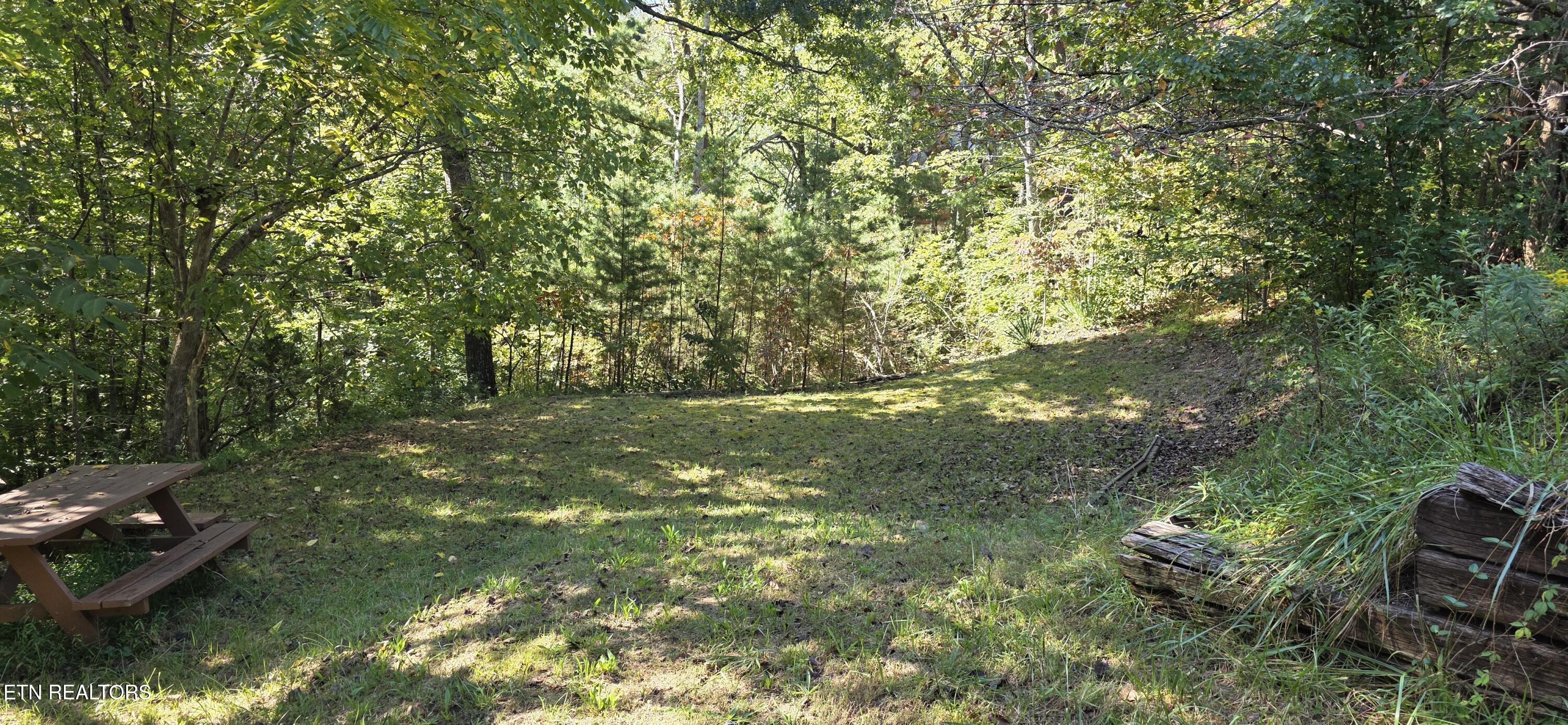 829 W Gold Dust Drive Pigeon Forge TN 37863