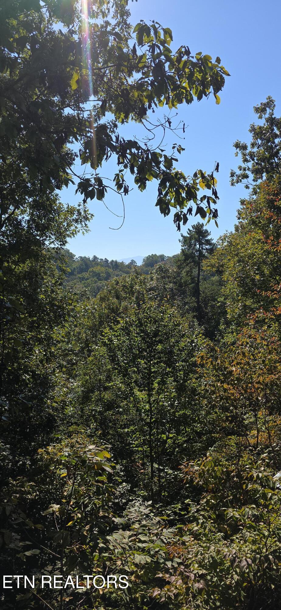 829 W Gold Dust Drive Pigeon Forge TN 37863