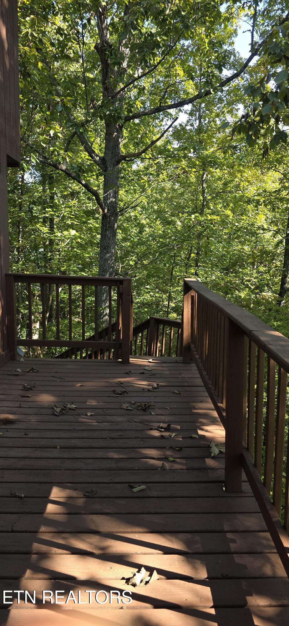 829 W Gold Dust Drive Pigeon Forge TN 37863