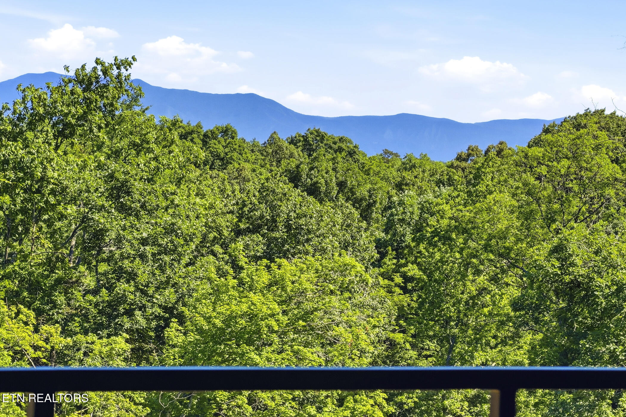 1234 Reedmont Way Sevierville TN 37876