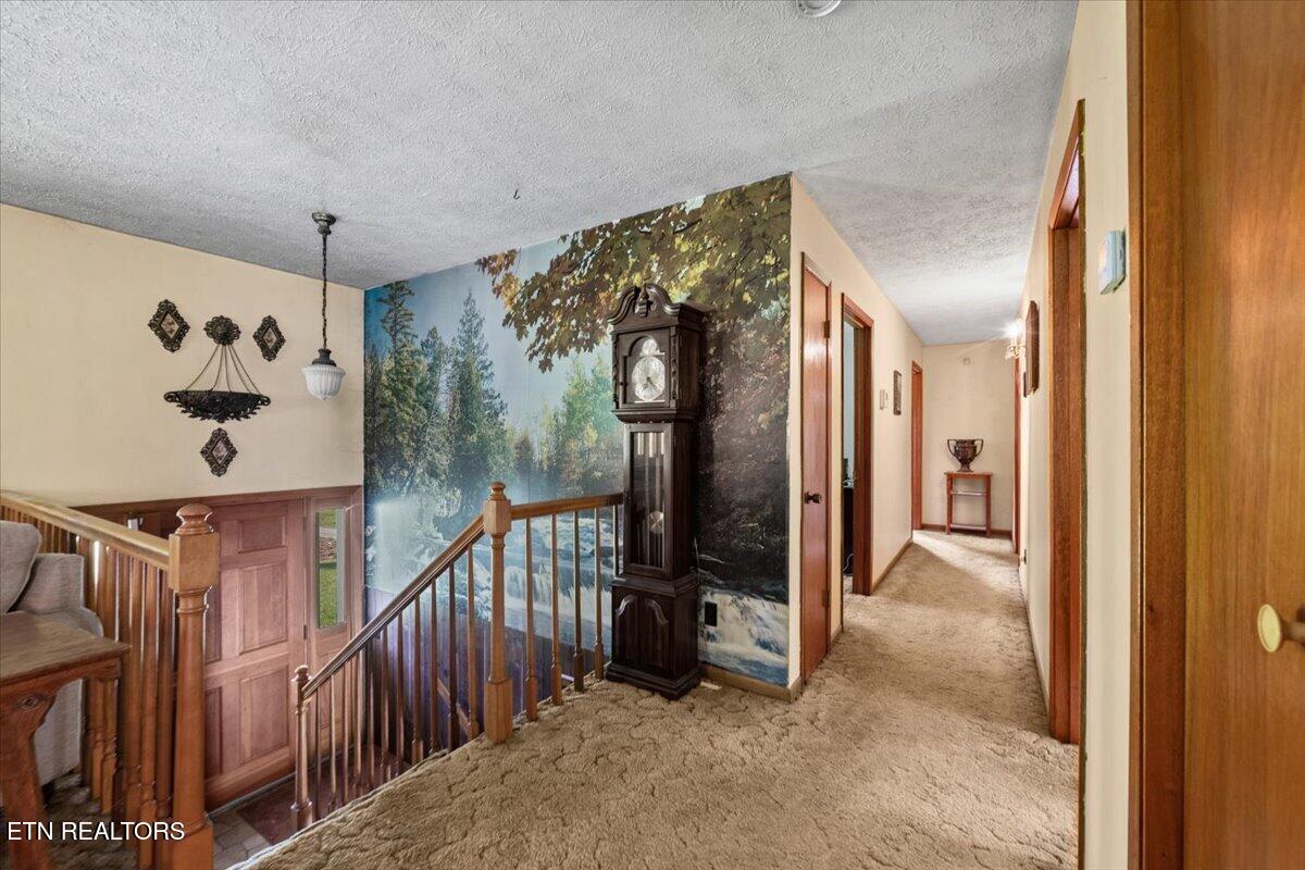 2719 Bullen Valley Road Thorn Hill TN 37881