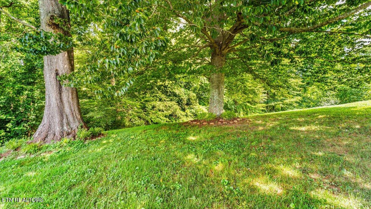 6309 Mountain Laurel Road Knoxville TN 37924