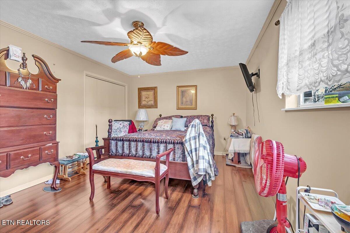 6153 Silver Fox Trail Morristown TN 37814