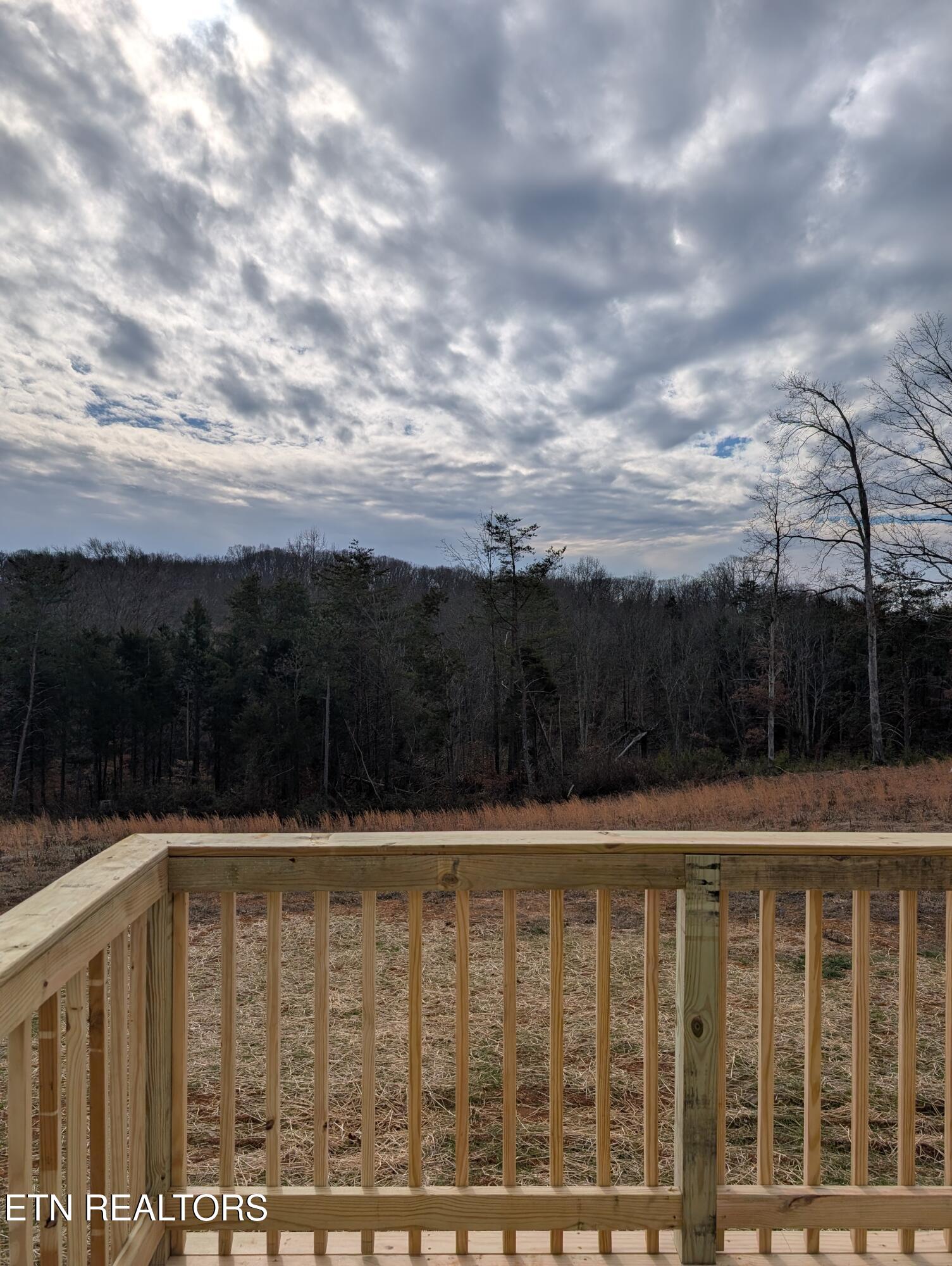 269 Laura Boling Loop Road Strawberry Plains TN 37871
