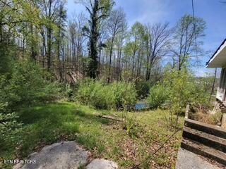20084 Alberta Street Oneida TN 37841