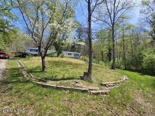 20084 Alberta Street Oneida TN 37841
