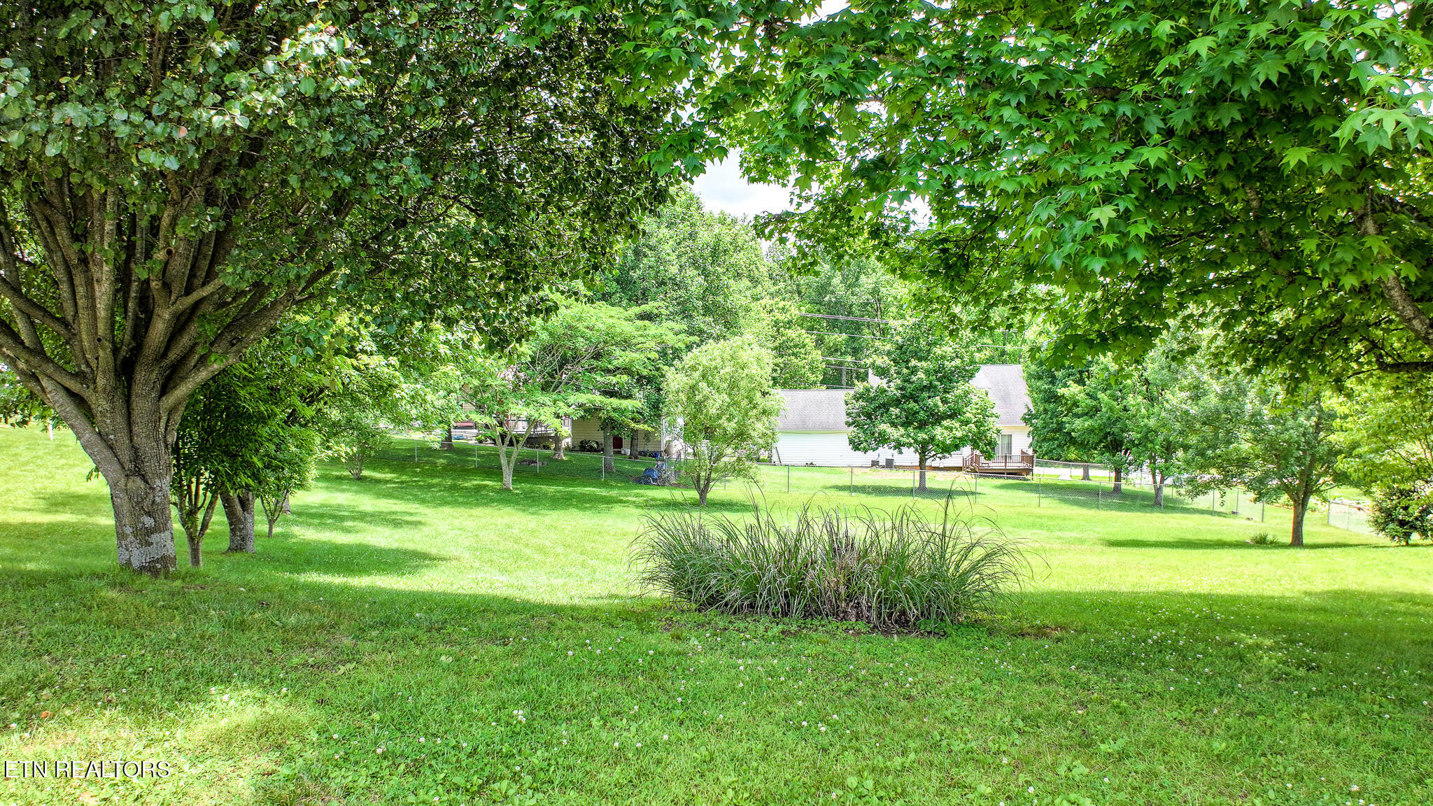 220 Colricia Drive Greeneville TN 37745