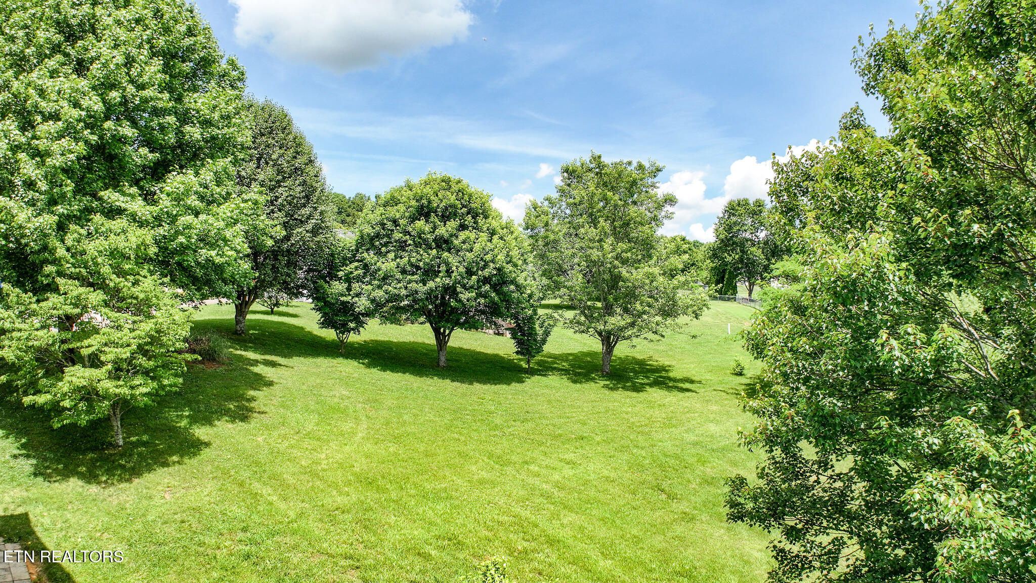 220 Colricia Drive Greeneville TN 37745