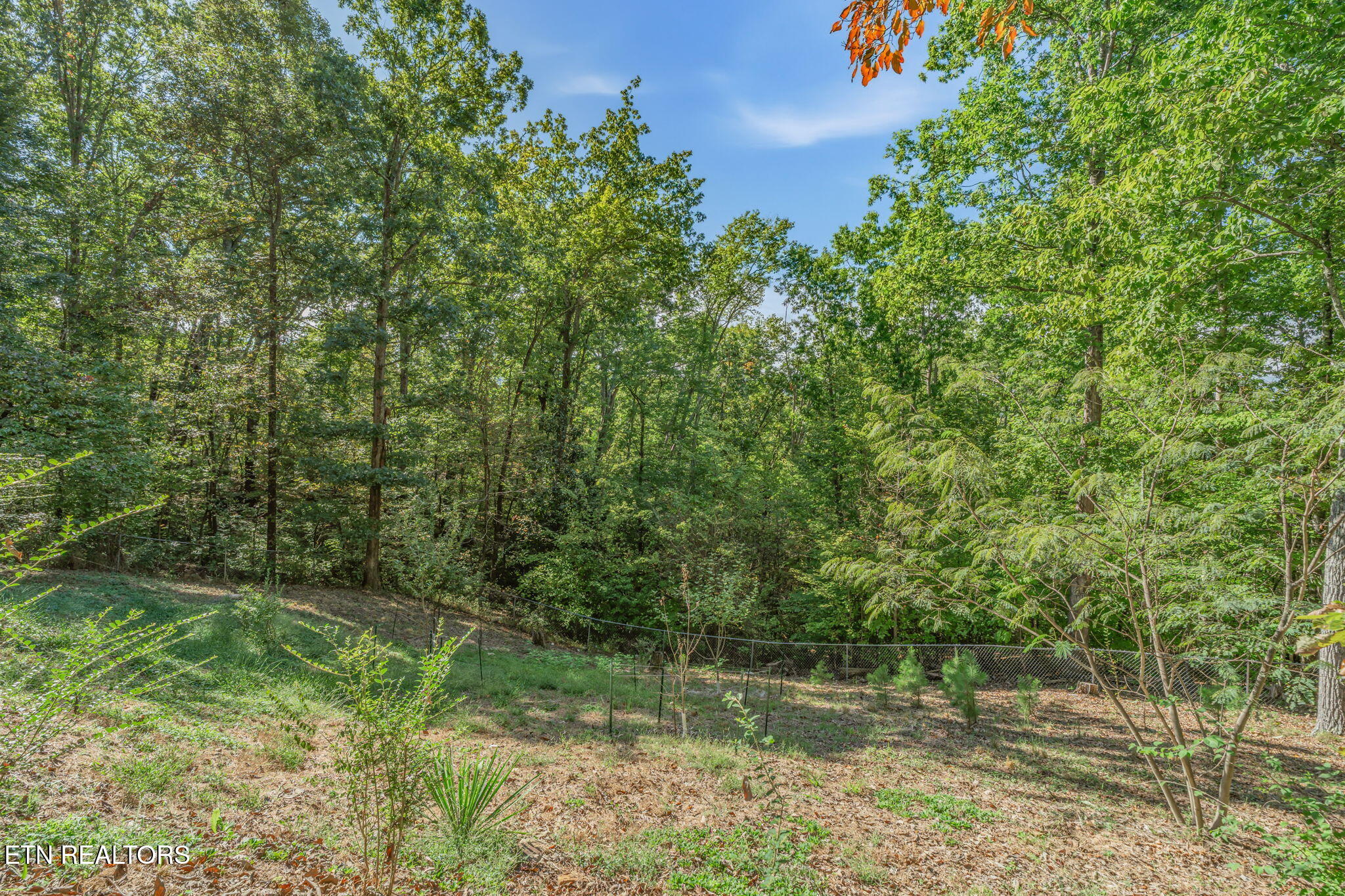 103 Morgan Road Oak Ridge TN 37830