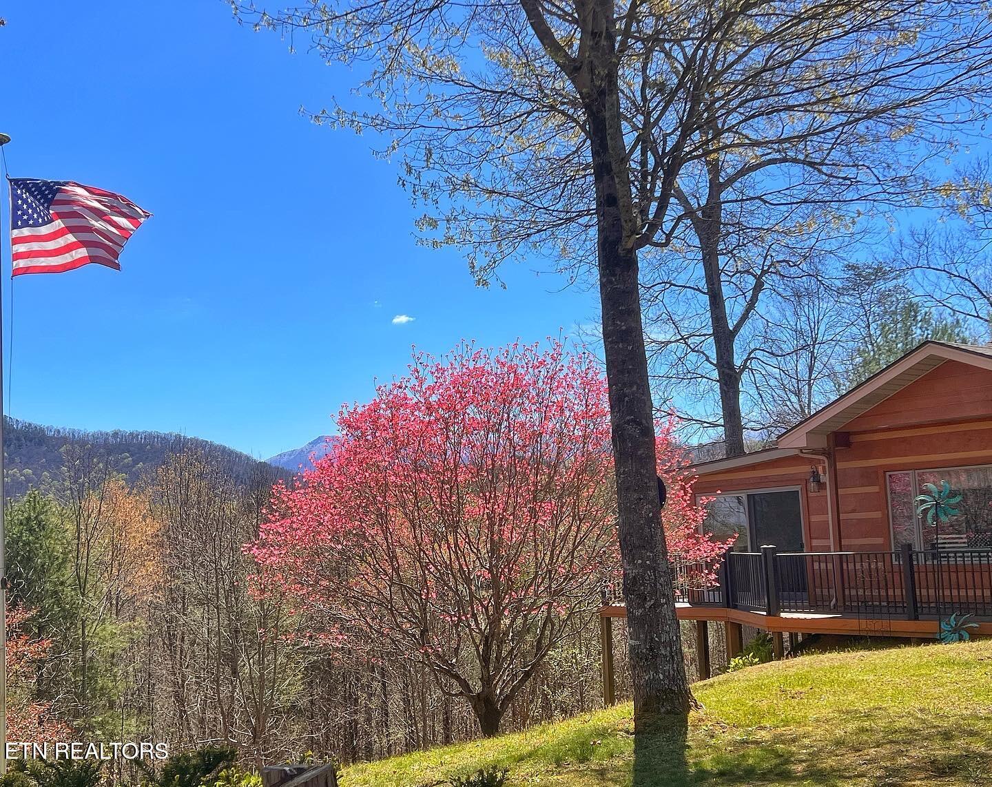 427 Gold Road Cosby TN 37722
