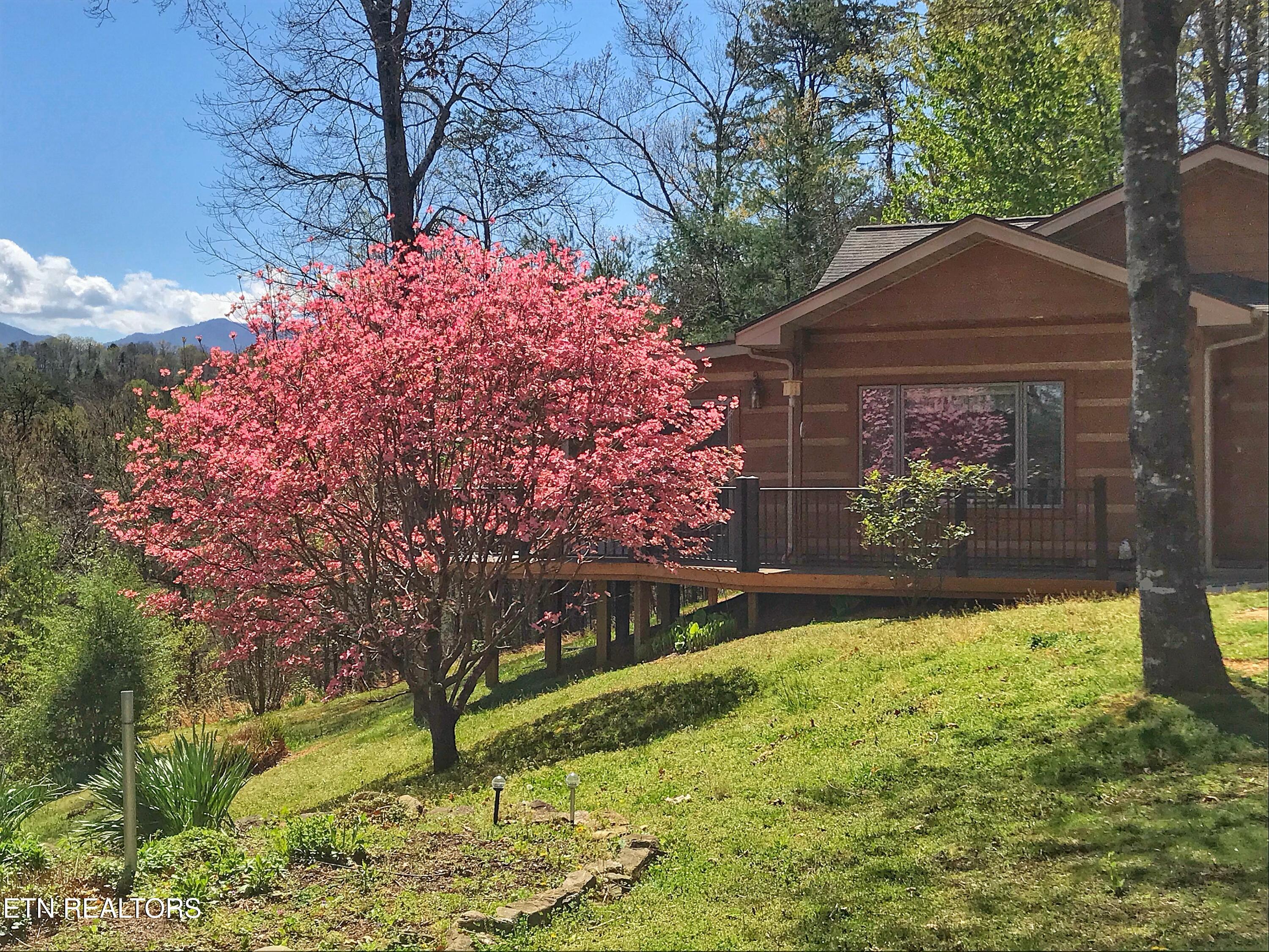 427 Gold Road Cosby TN 37722