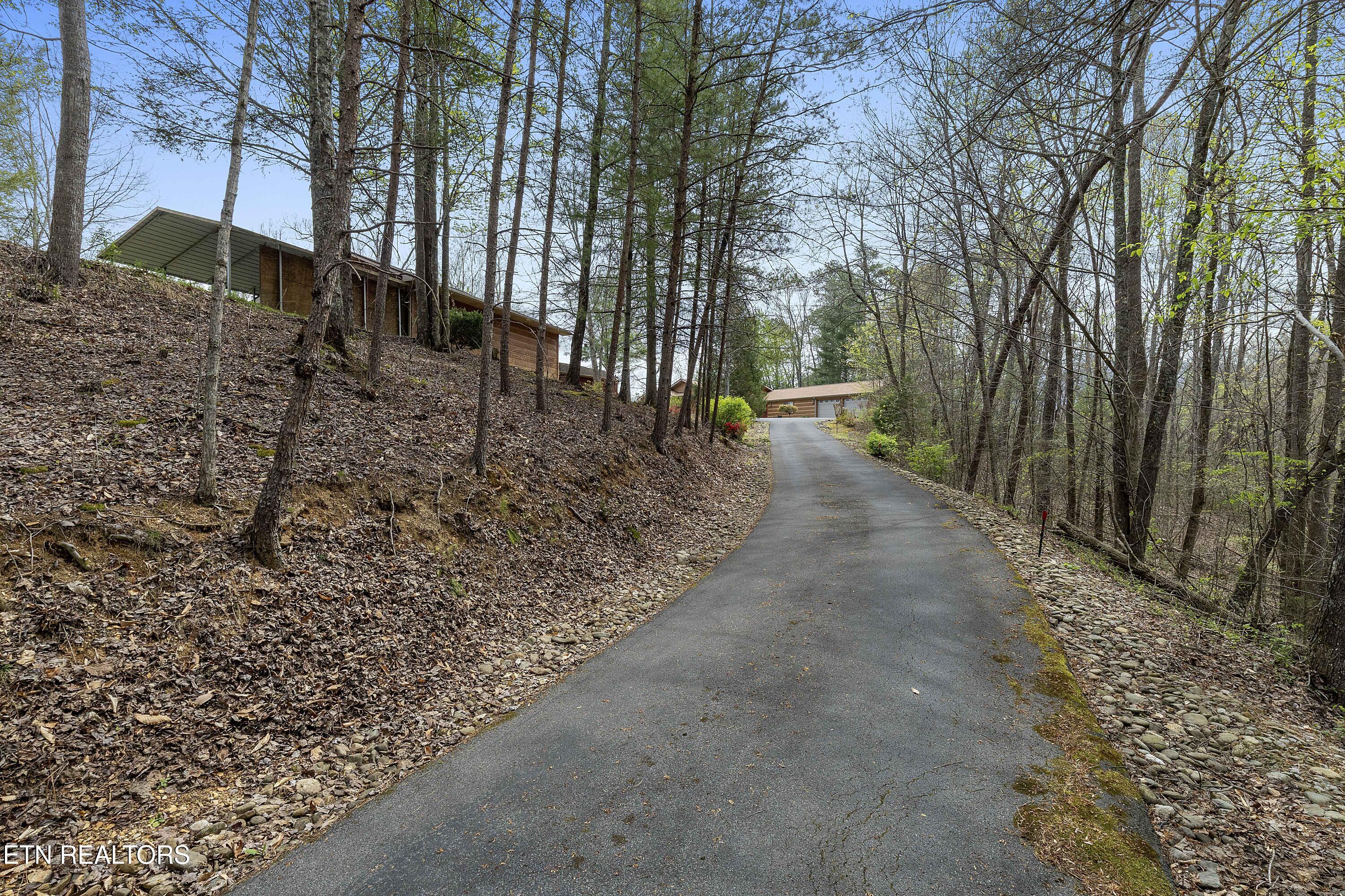 427 Gold Road Cosby TN 37722