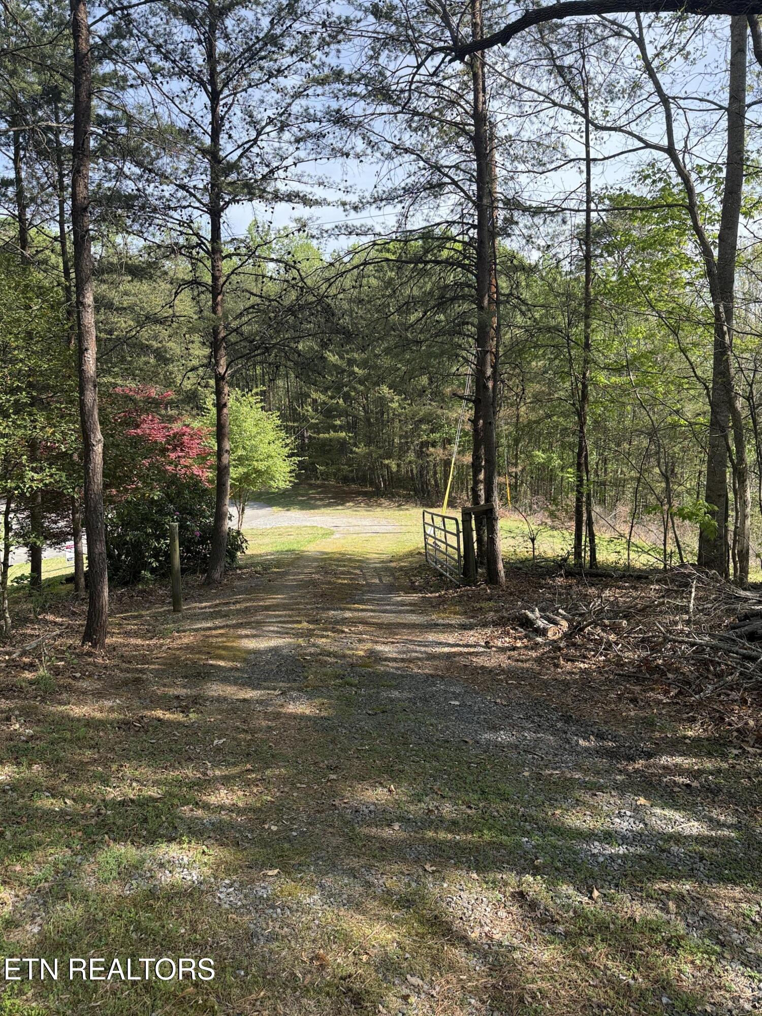 427 Gold Road Cosby TN 37722