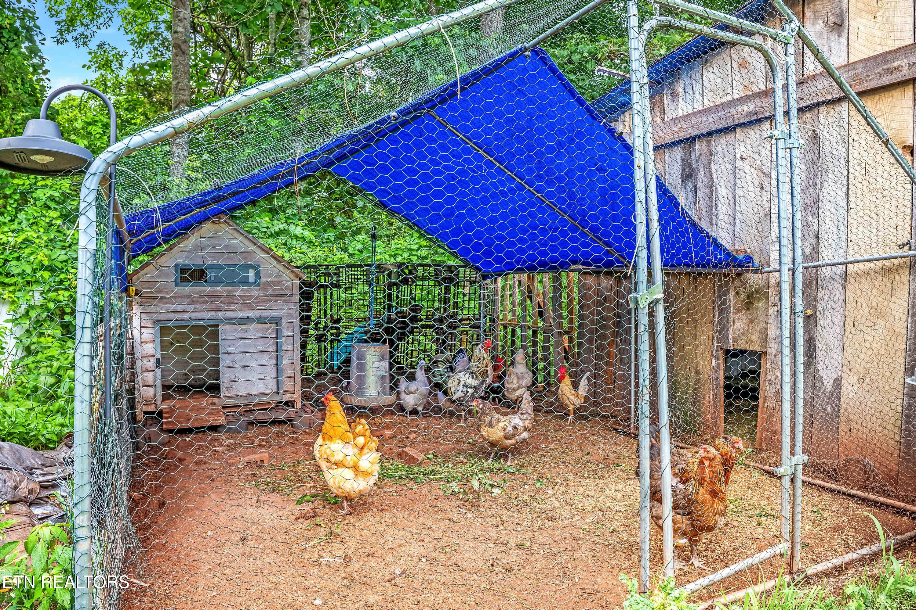 516 Knob Road Vonore TN 37885