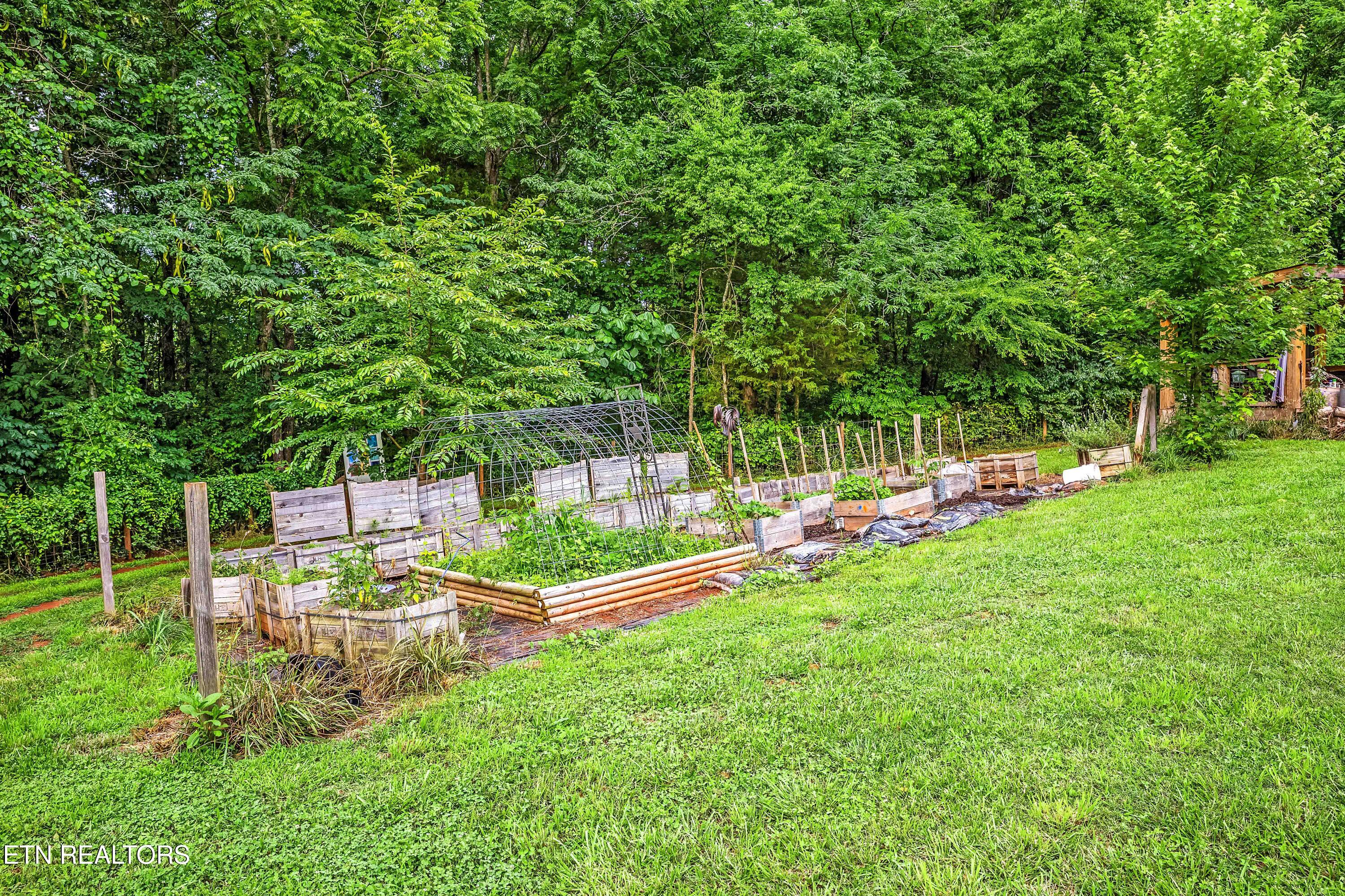516 Knob Road Vonore TN 37885