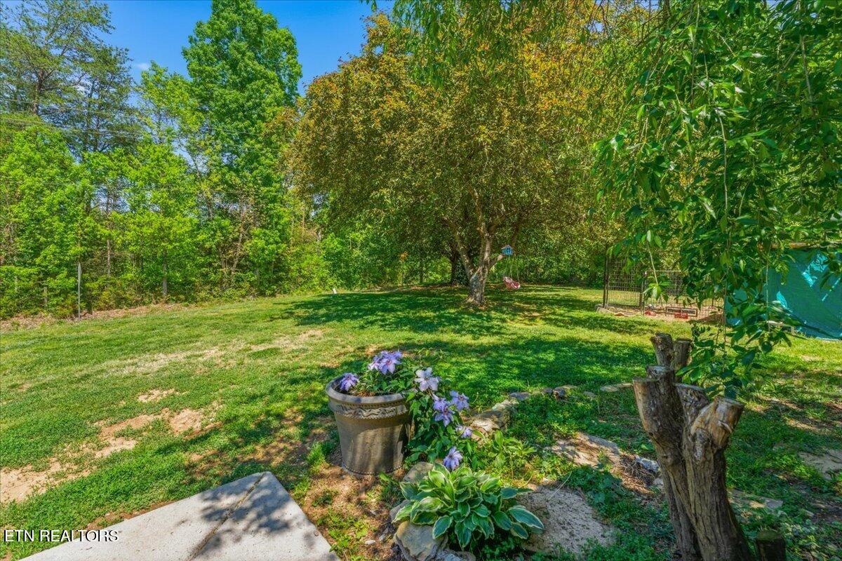 1144 Rocky Springs Road Madisonville TN 37354