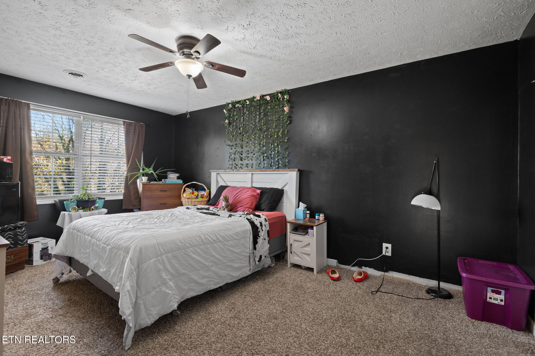 109 Cherry Lane Jacksboro TN 37757