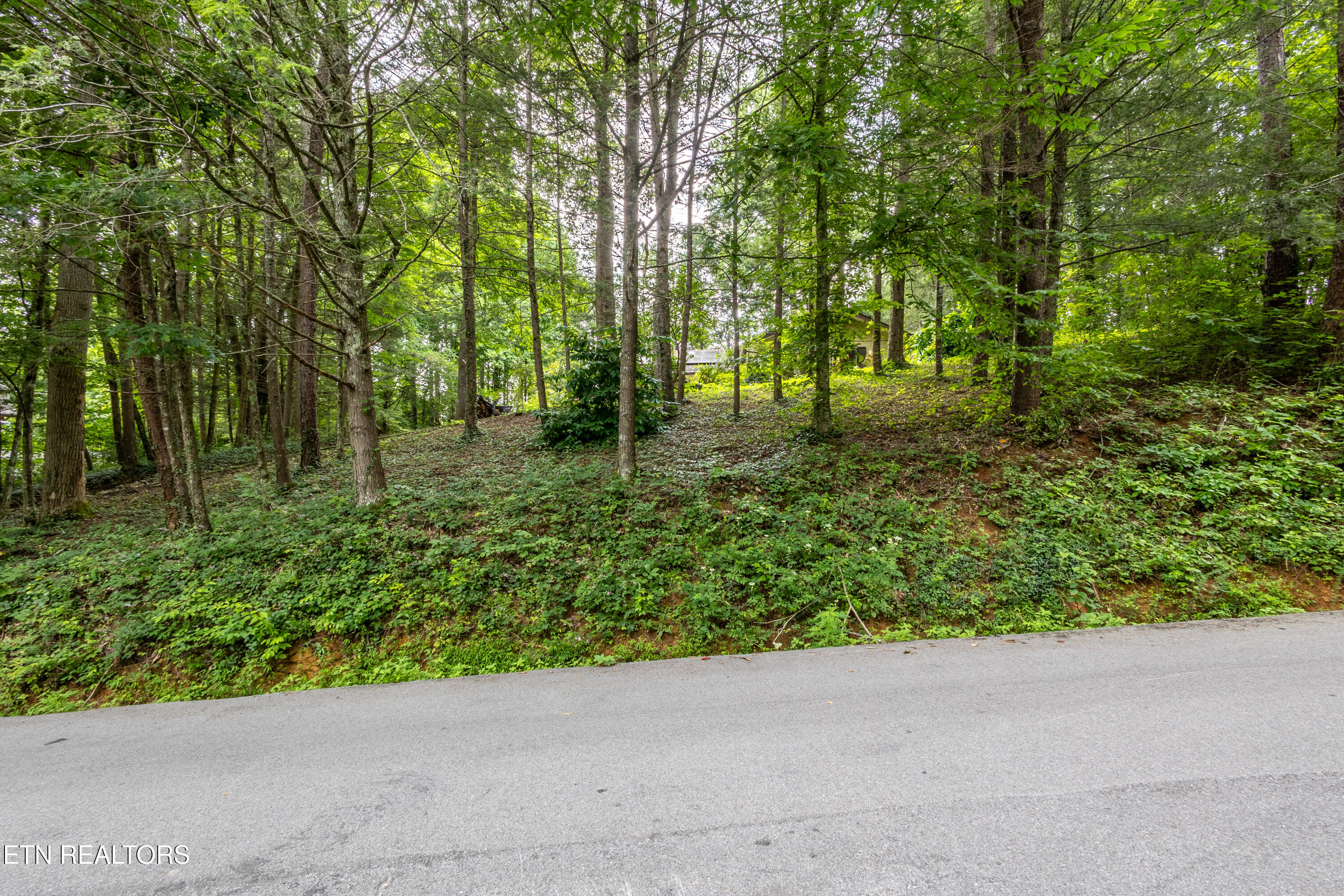 1633 Cardinal Drive Gatlinburg TN 37738