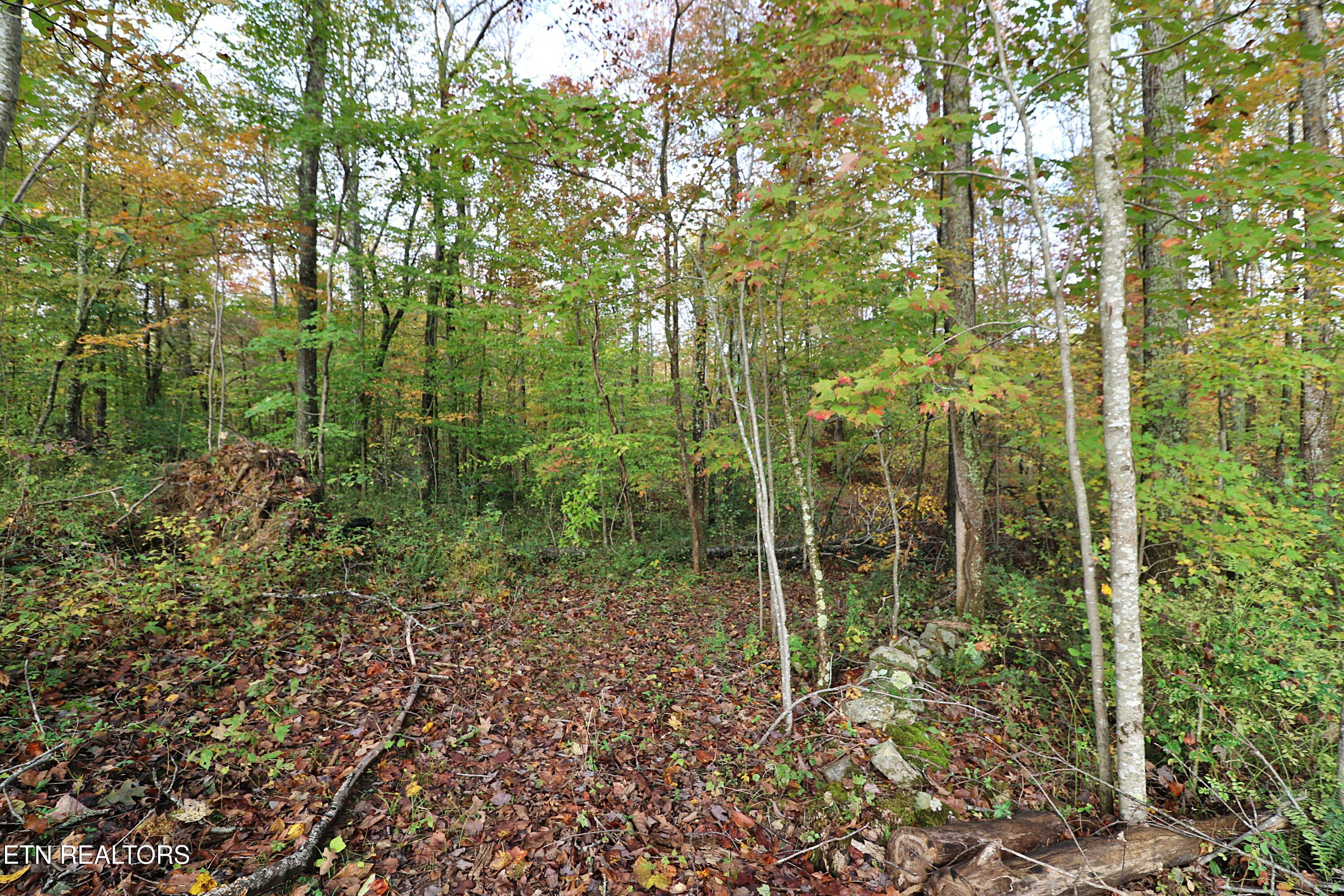 1058 Mountain View Road Robbins TN 37852