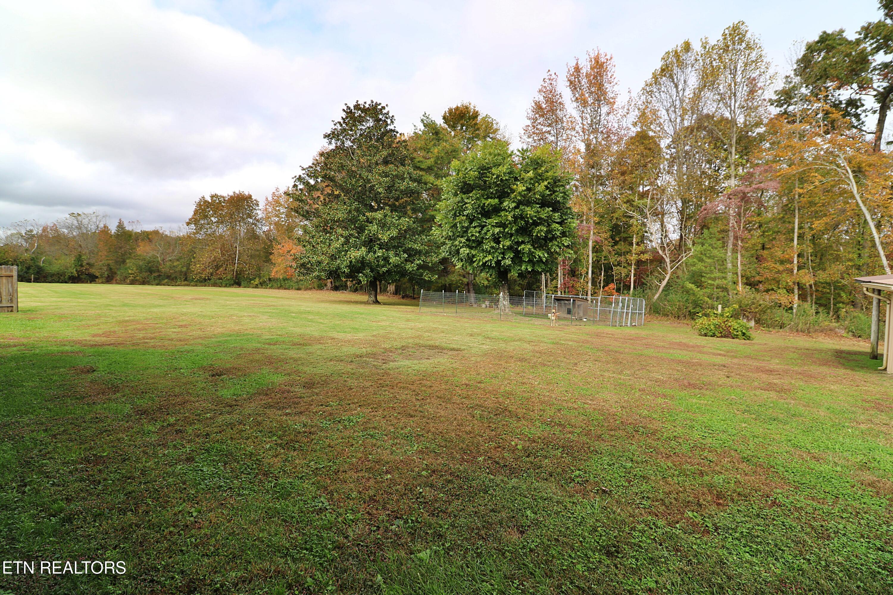 1058 Mountain View Road Robbins TN 37852