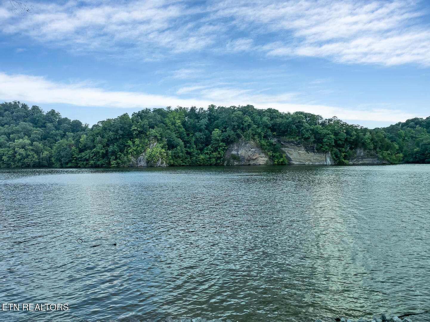 4225 W Lakeview Circle Louisville TN 37777
