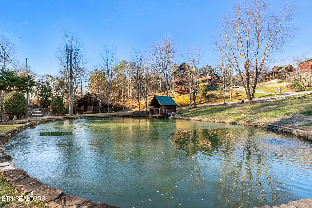 1644 Little Cabin Loop Sevierville TN 37862