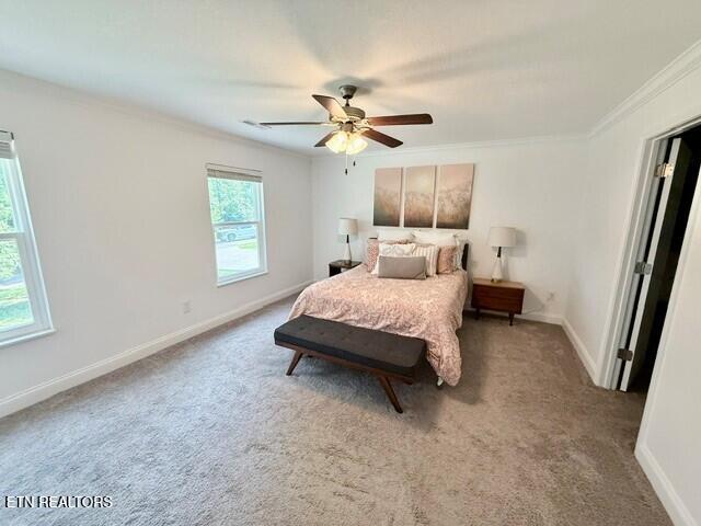 144 Wakefield Road Knoxville TN 37922