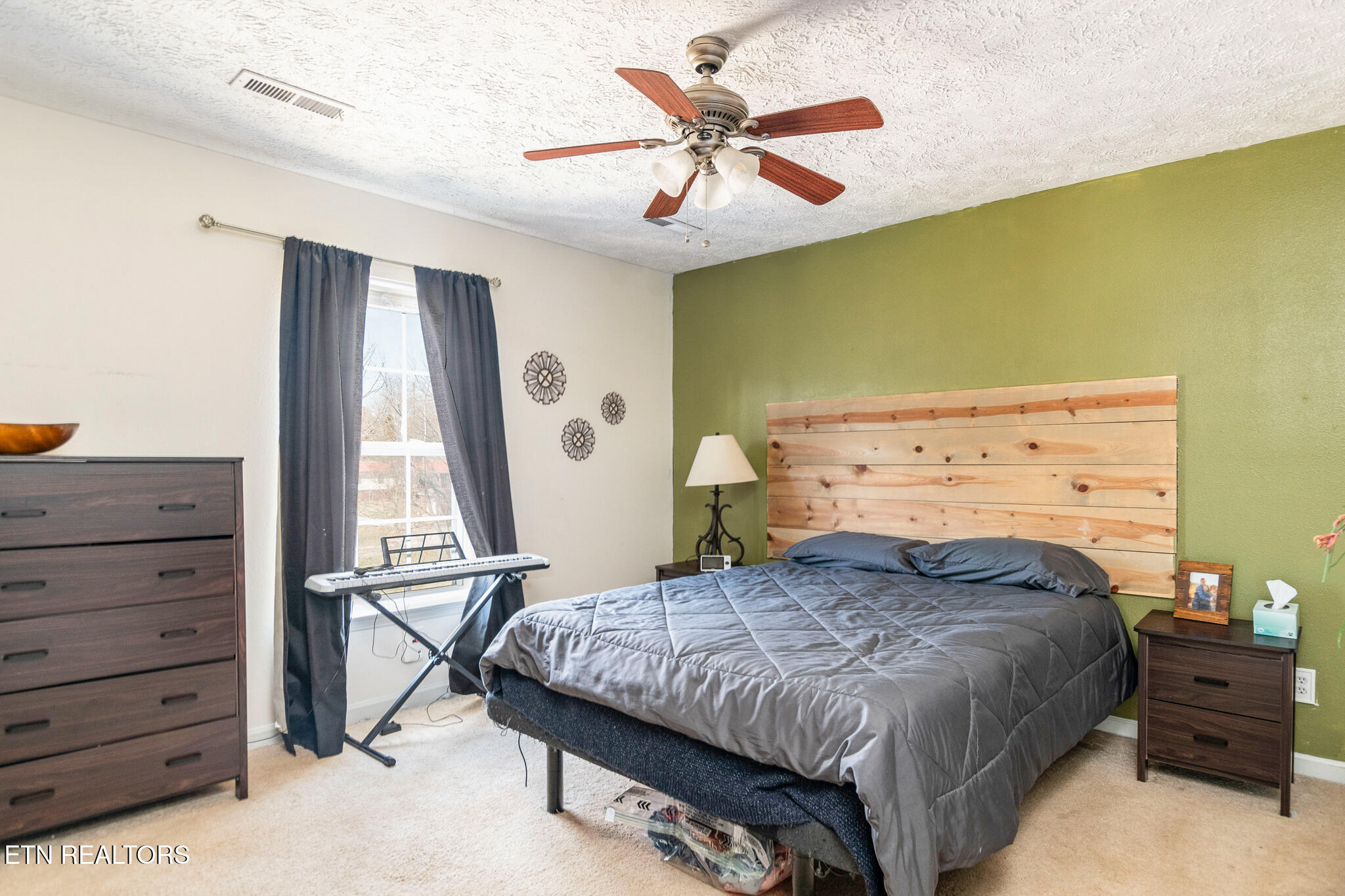 313 N Northview Drive Strawberry Plains TN 37871