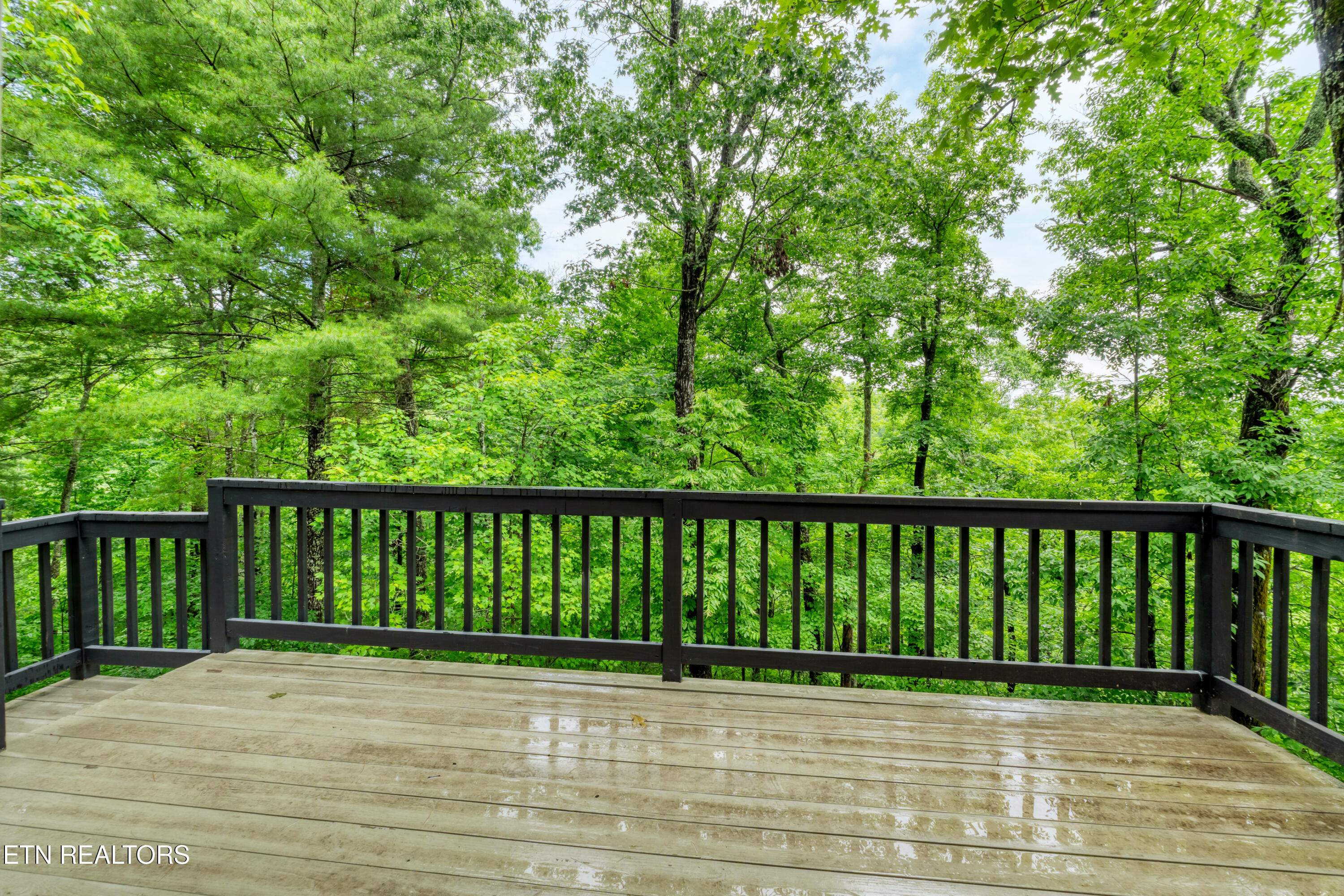 620 Hawk View Drive Townsend TN 37882