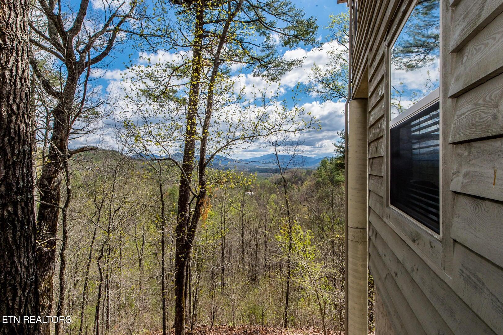 620 Hawk View Drive Townsend TN 37882