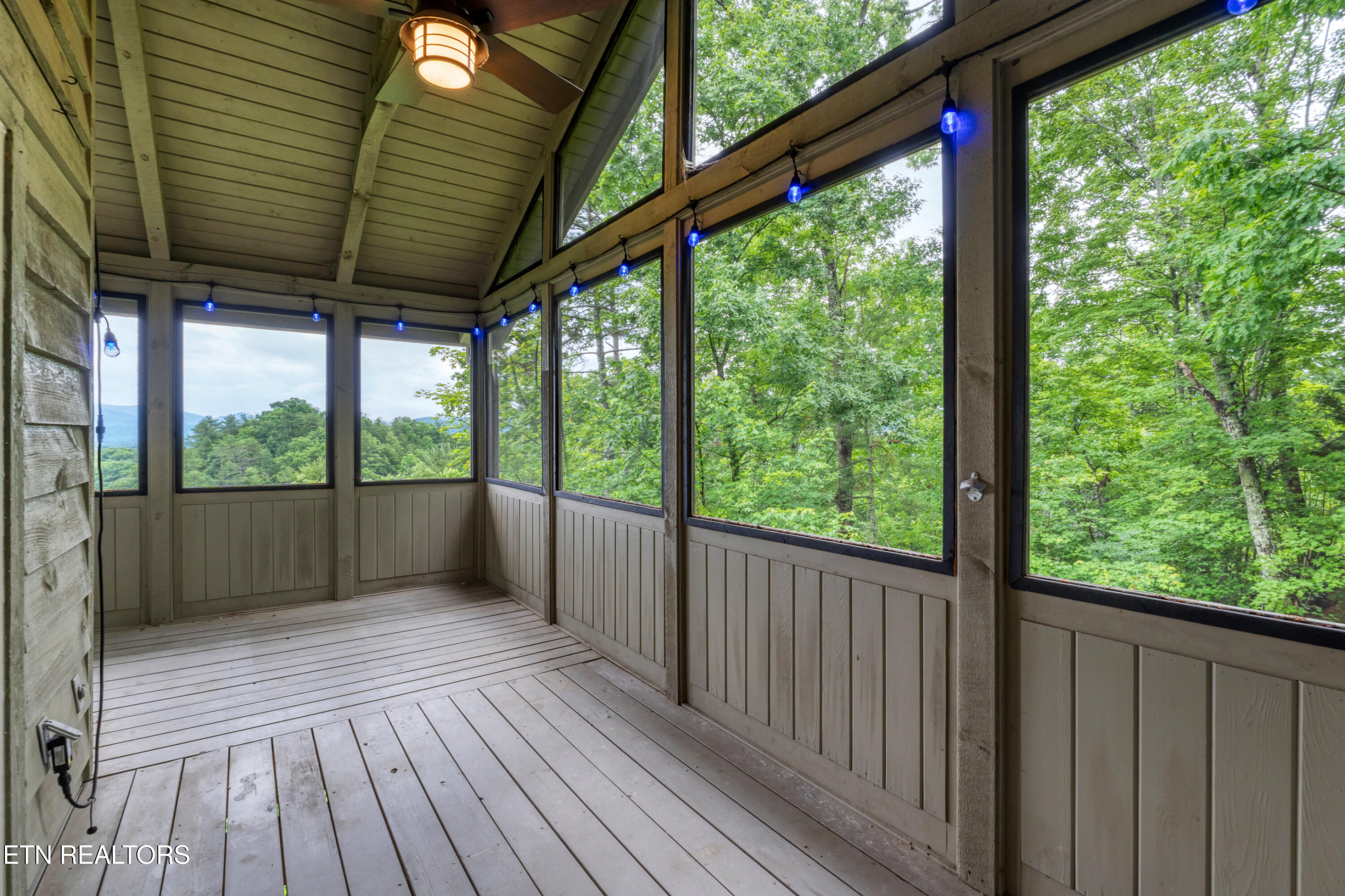 620 Hawk View Drive Townsend TN 37882