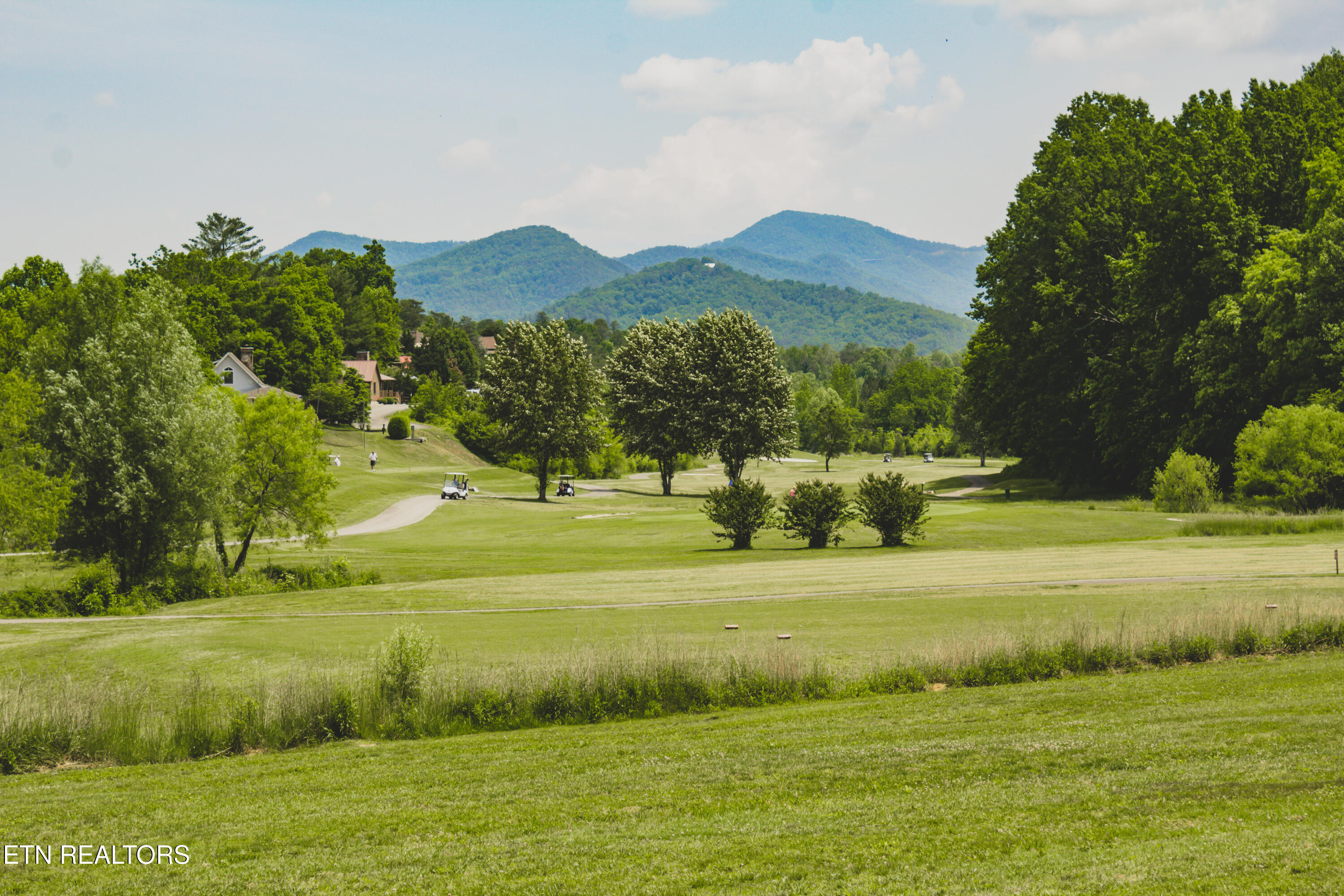 620 Hawk View Drive Townsend TN 37882