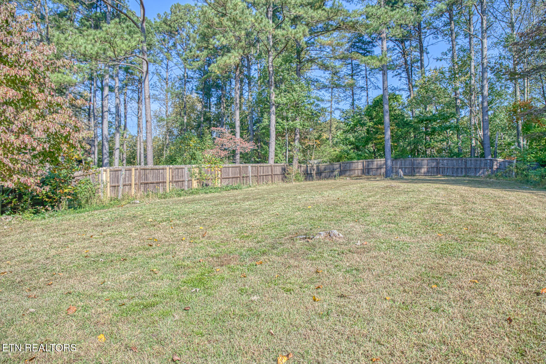 1440 Apple Valley Court Cookeville TN 38501