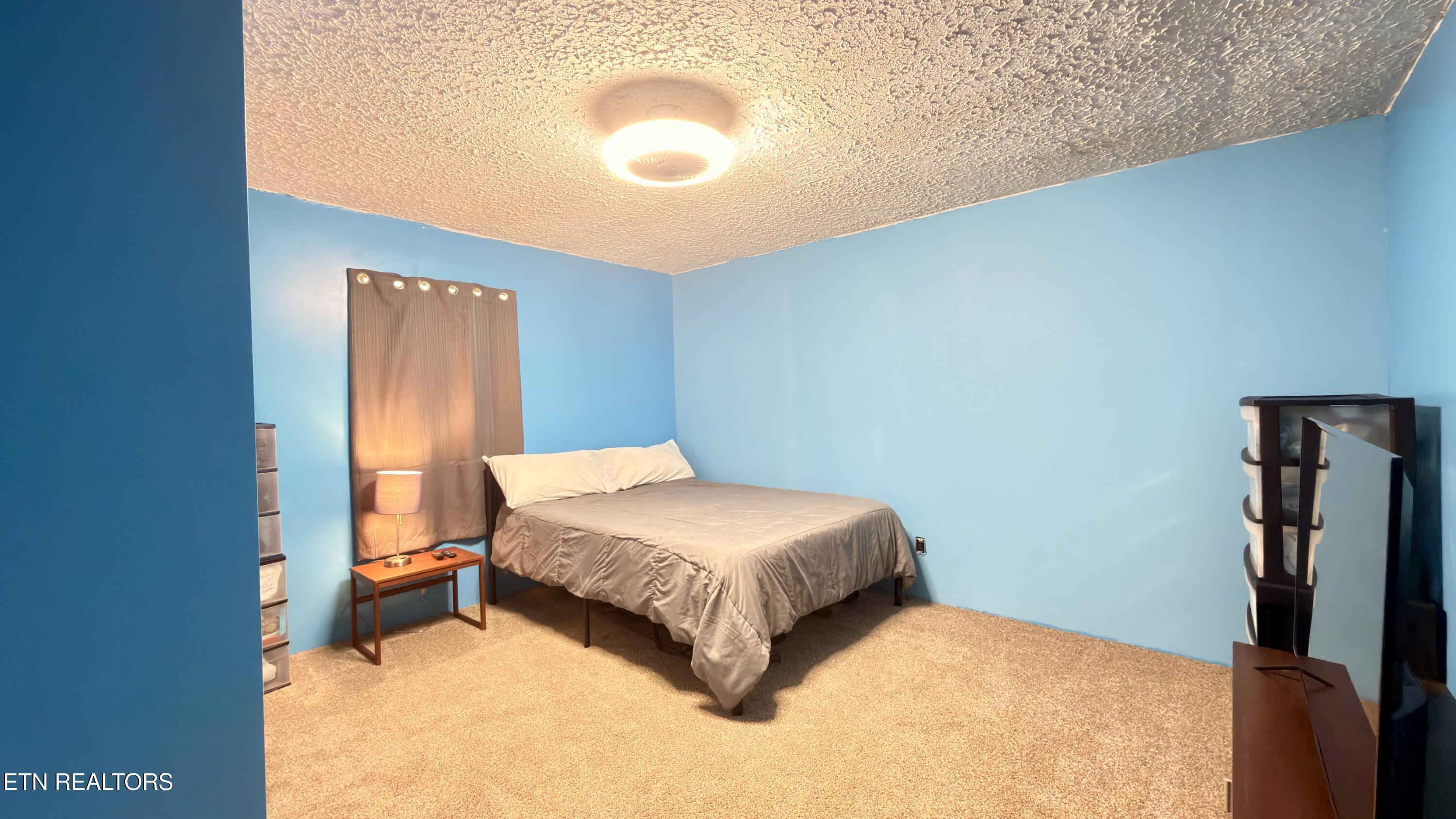 162 Charlie Byrd Lane Pioneer TN 37847