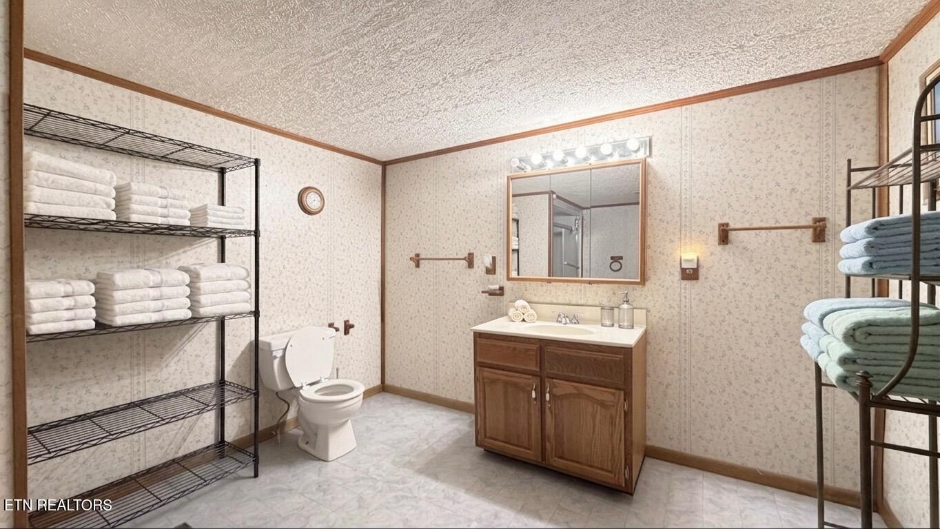 162 Charlie Byrd Lane Pioneer TN 37847