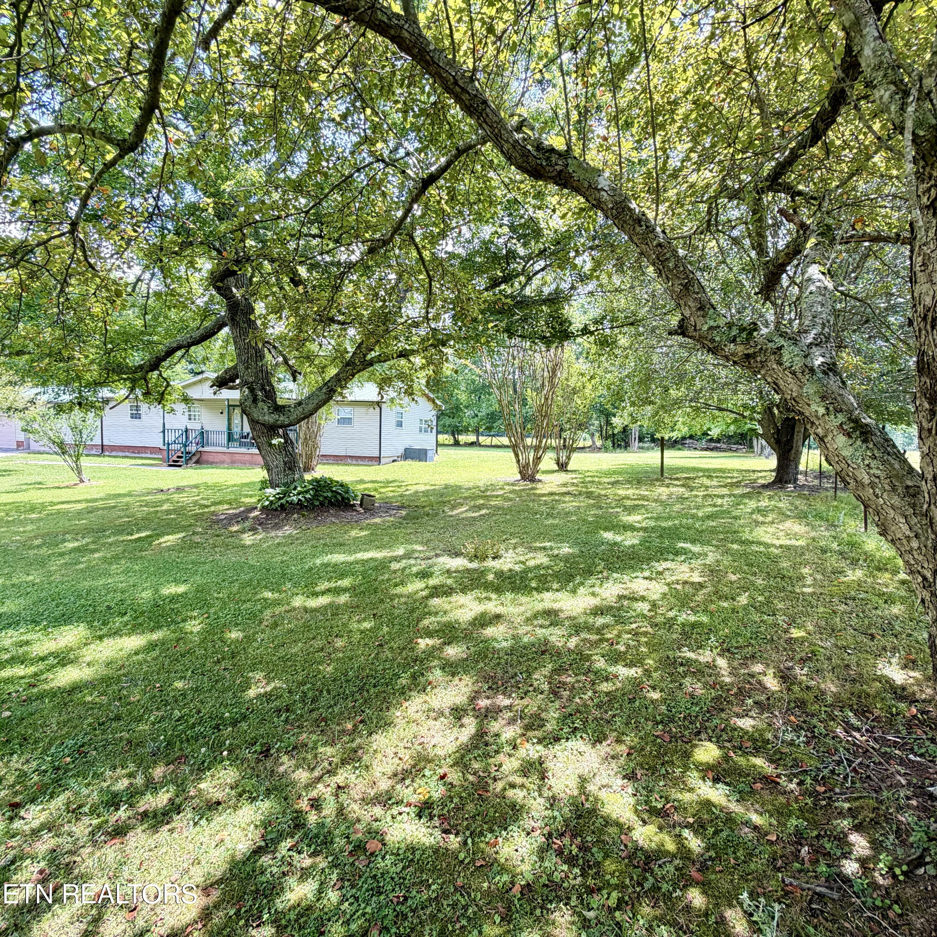162 Charlie Byrd Lane Pioneer TN 37847