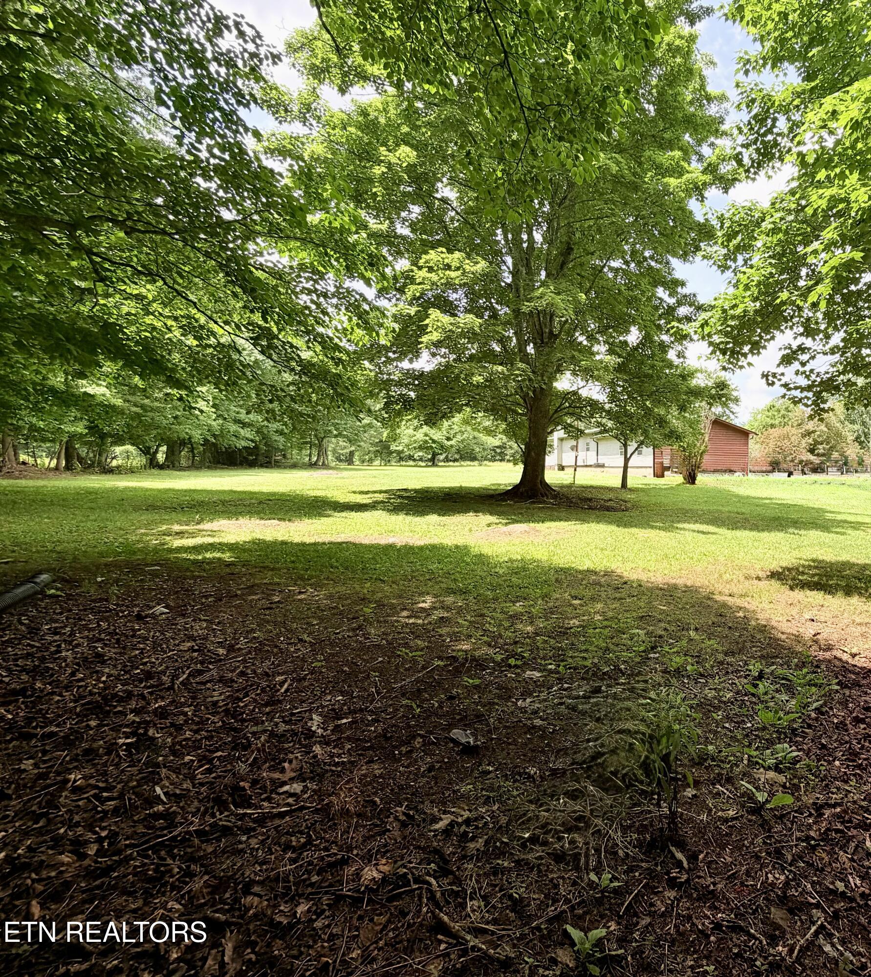 162 Charlie Byrd Lane Pioneer TN 37847