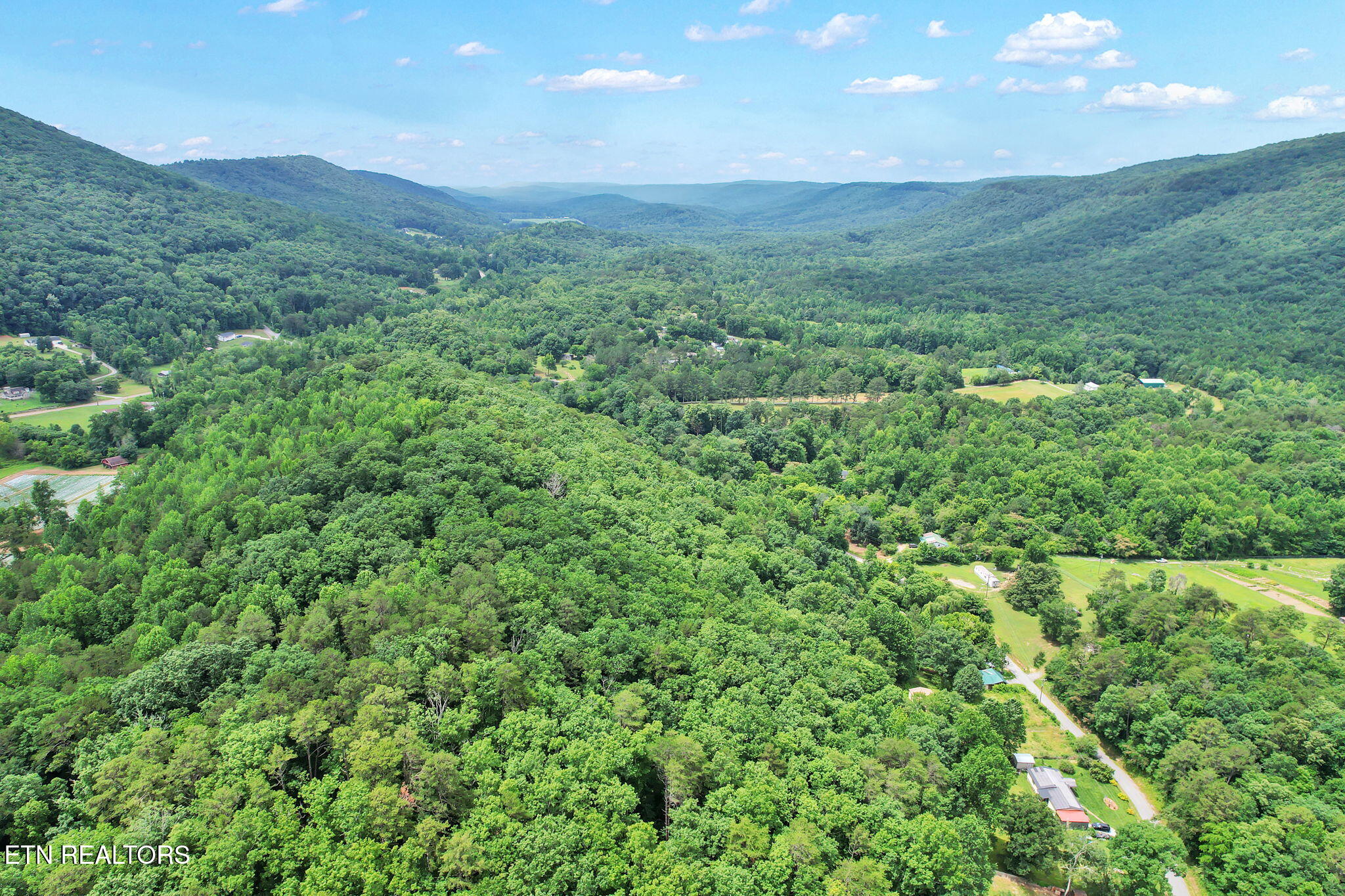 1241 Upper Cove Loop Dayton TN 37321